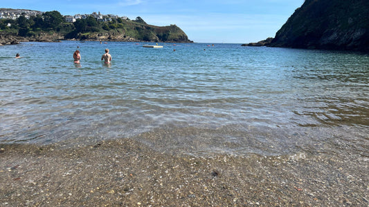 The impact of sewage alerts on swimming at Readymoney Cove