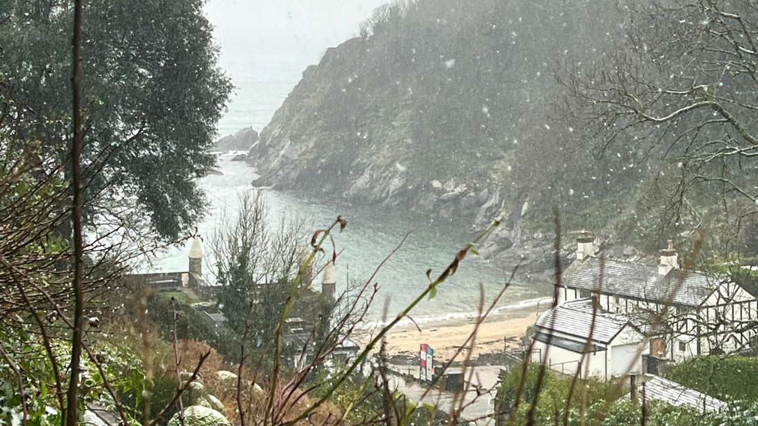 Christmas in Fowey, Cornwall - Readymoney Beach Shop