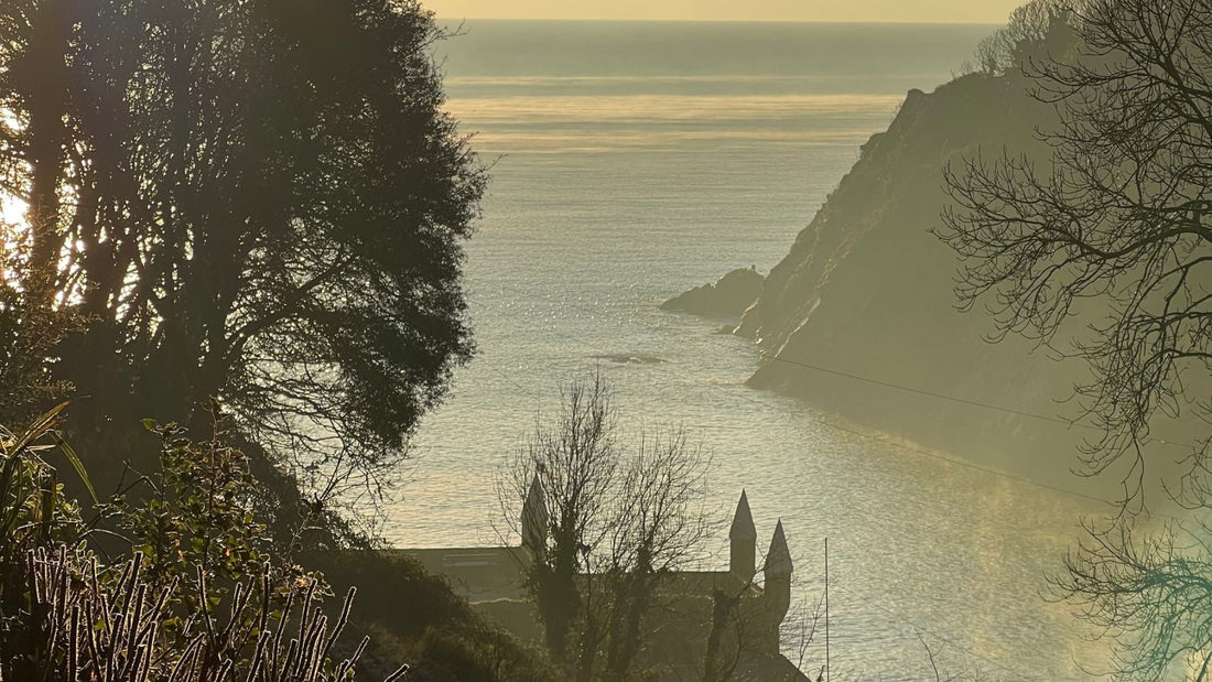 Things to Do in Fowey During Autumn & Winter - Readymoney Beach Shop