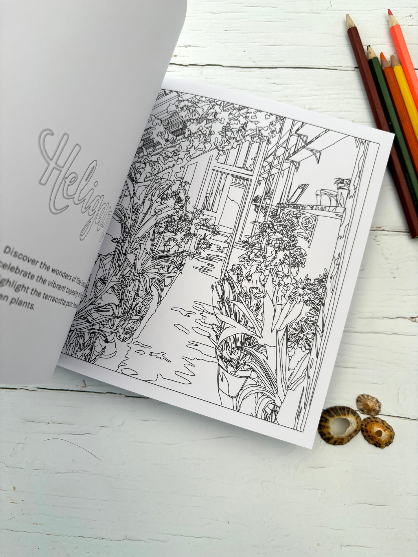 Colour In Cornwall Colouring Book