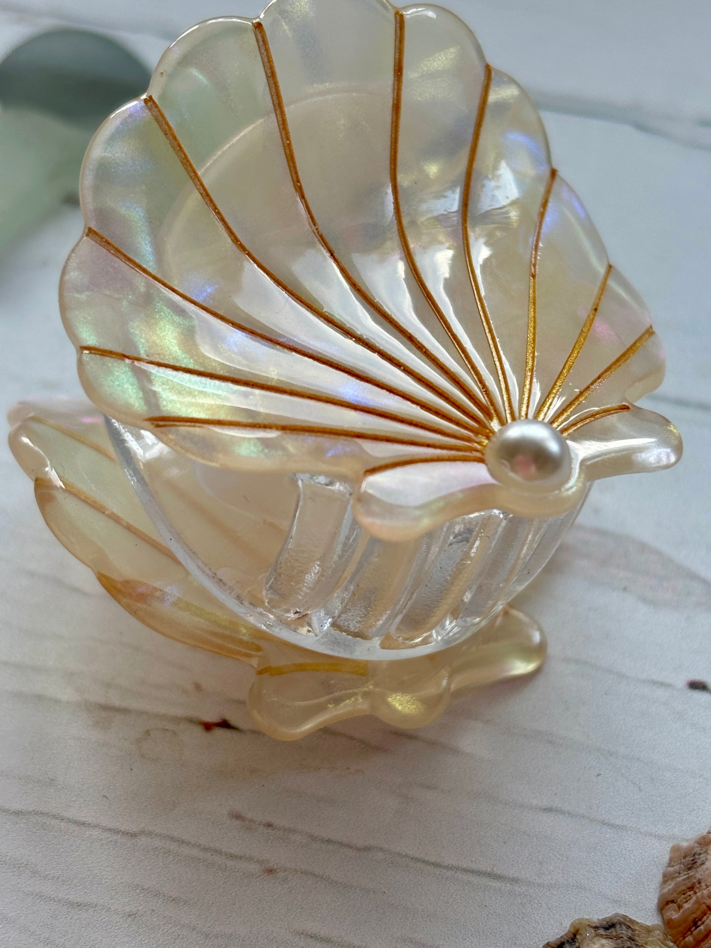 Cream Clam Shell Hair Claw
