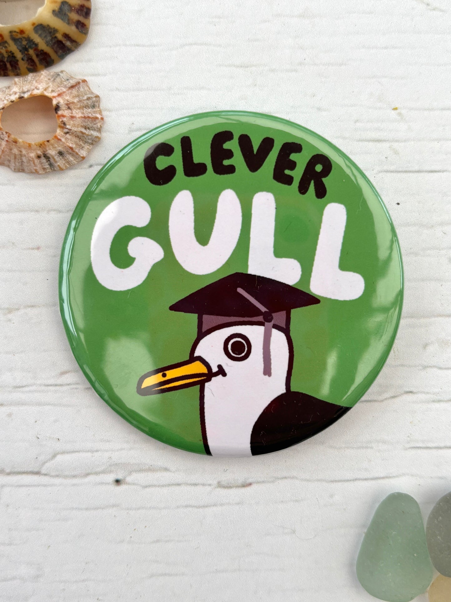 Gull Life: Big Shiny Seagull Badge Collection