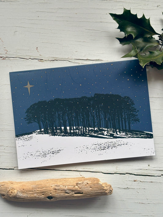 a christmas card depicting the nearly home trees against a blue sky and snowy ground