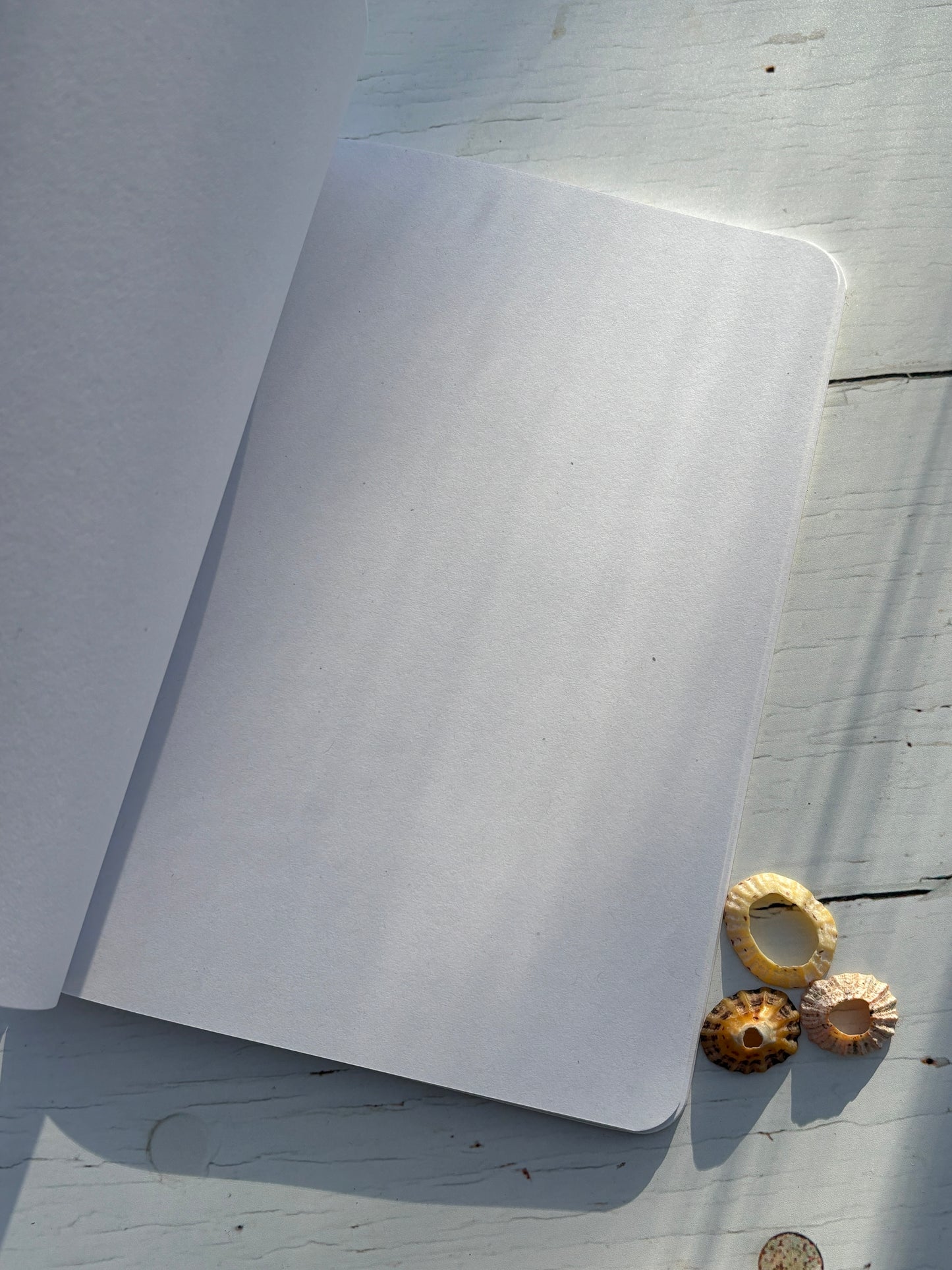 A5 blank page notebook—minimalist eco stationery with seaweed cover, perfect for journaling or sketching