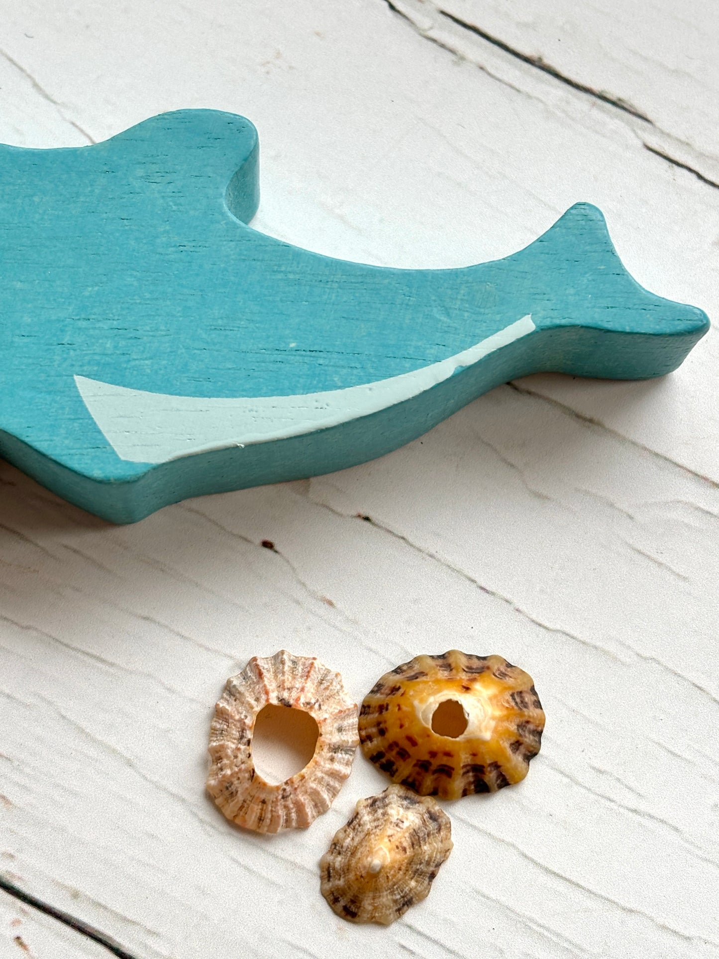 wooden dolphin toy tail blue hand-painted sea animal for coastal nursery decor and sustainable kids' play