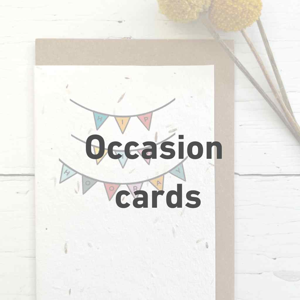 Occasion cards: a hip hip hooray bunting card