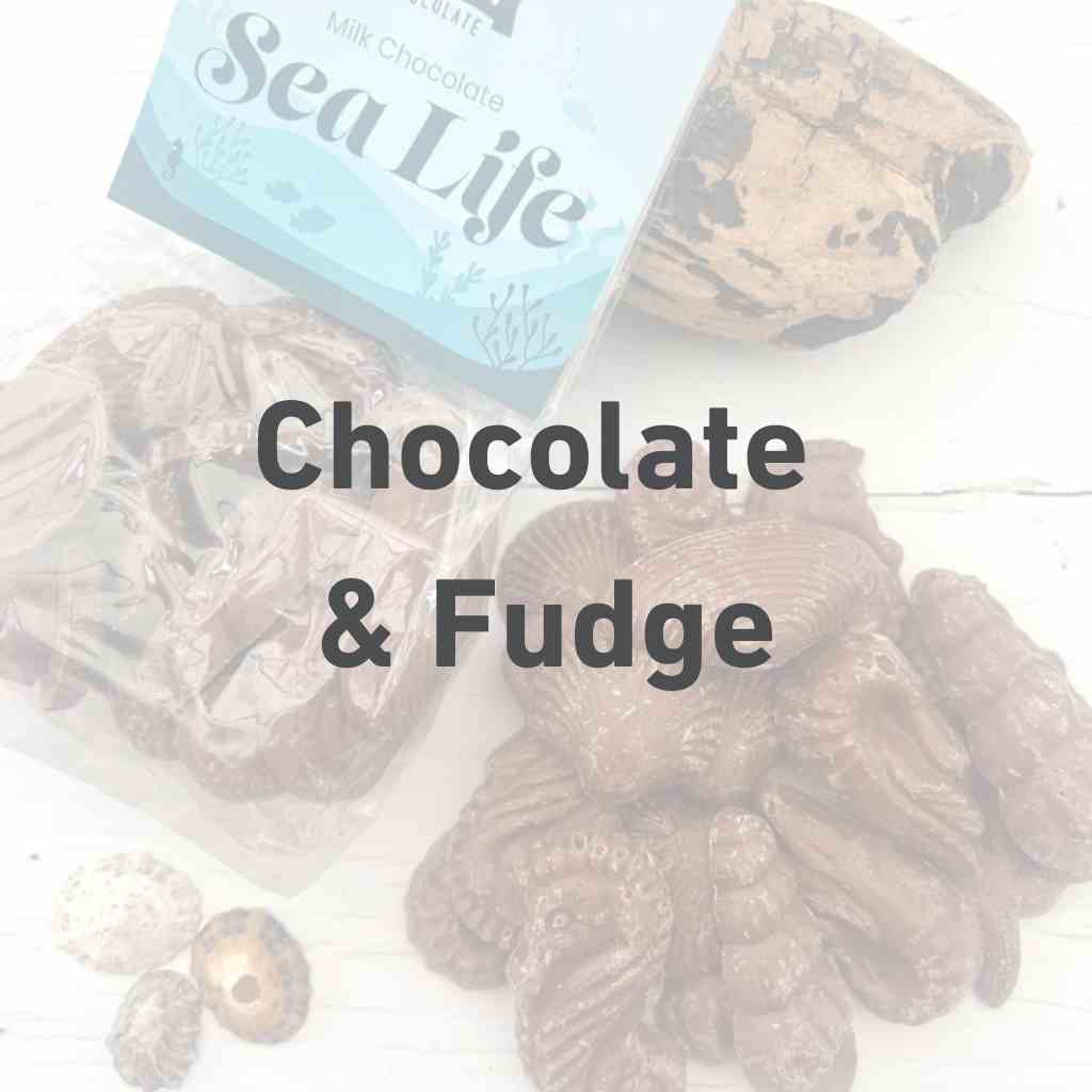 CHOCOLATE & FUDGE