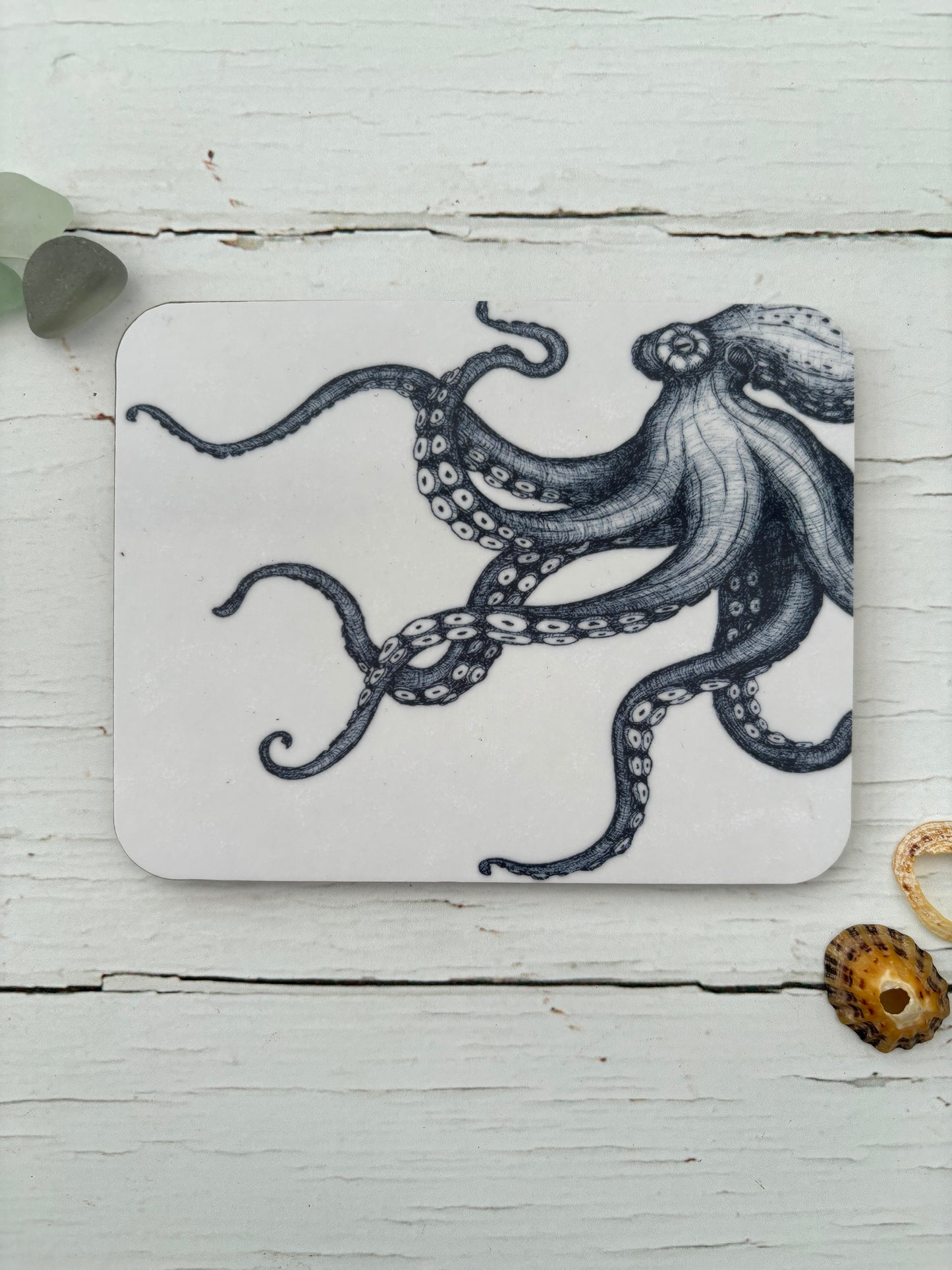 Cornish Sealife Coasters