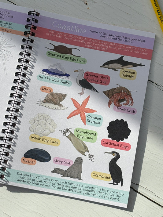 Amazing British Wildlife Nature Walk Activity Book & Journal
