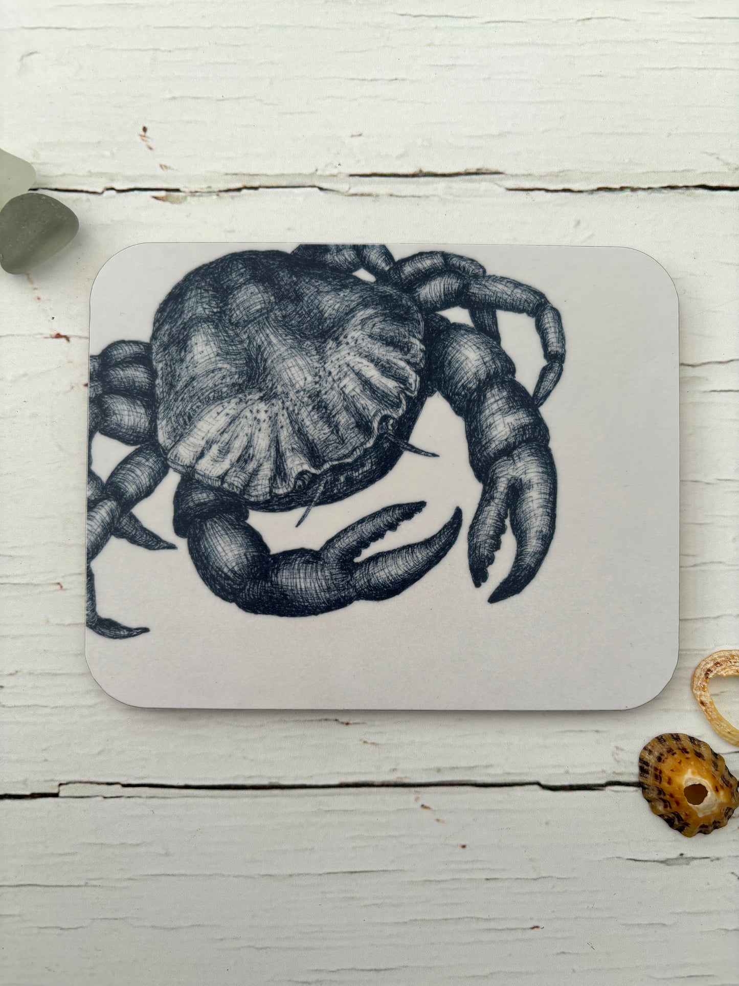 Cornish Sealife Coasters