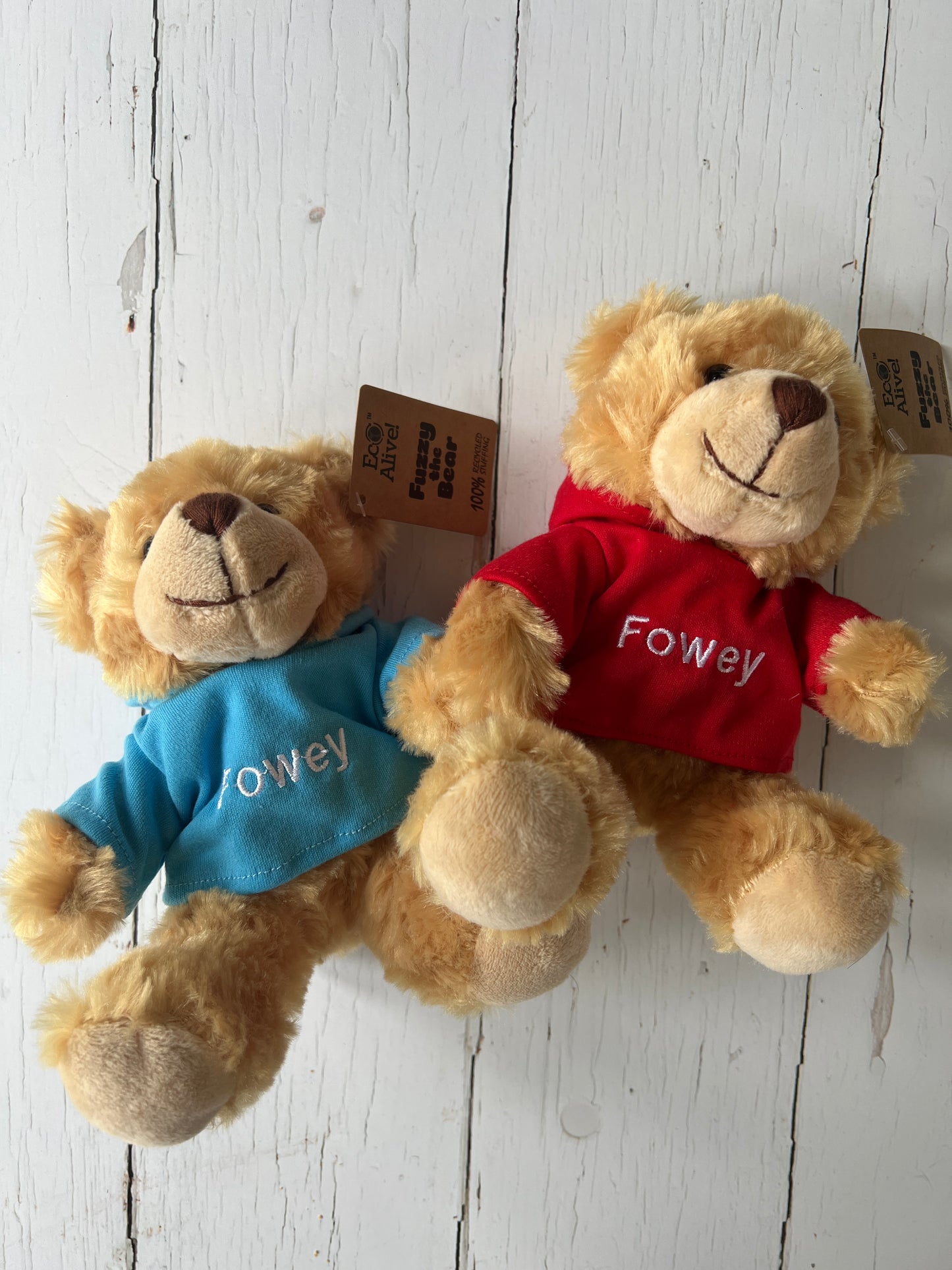 Fowey Teddy Bear