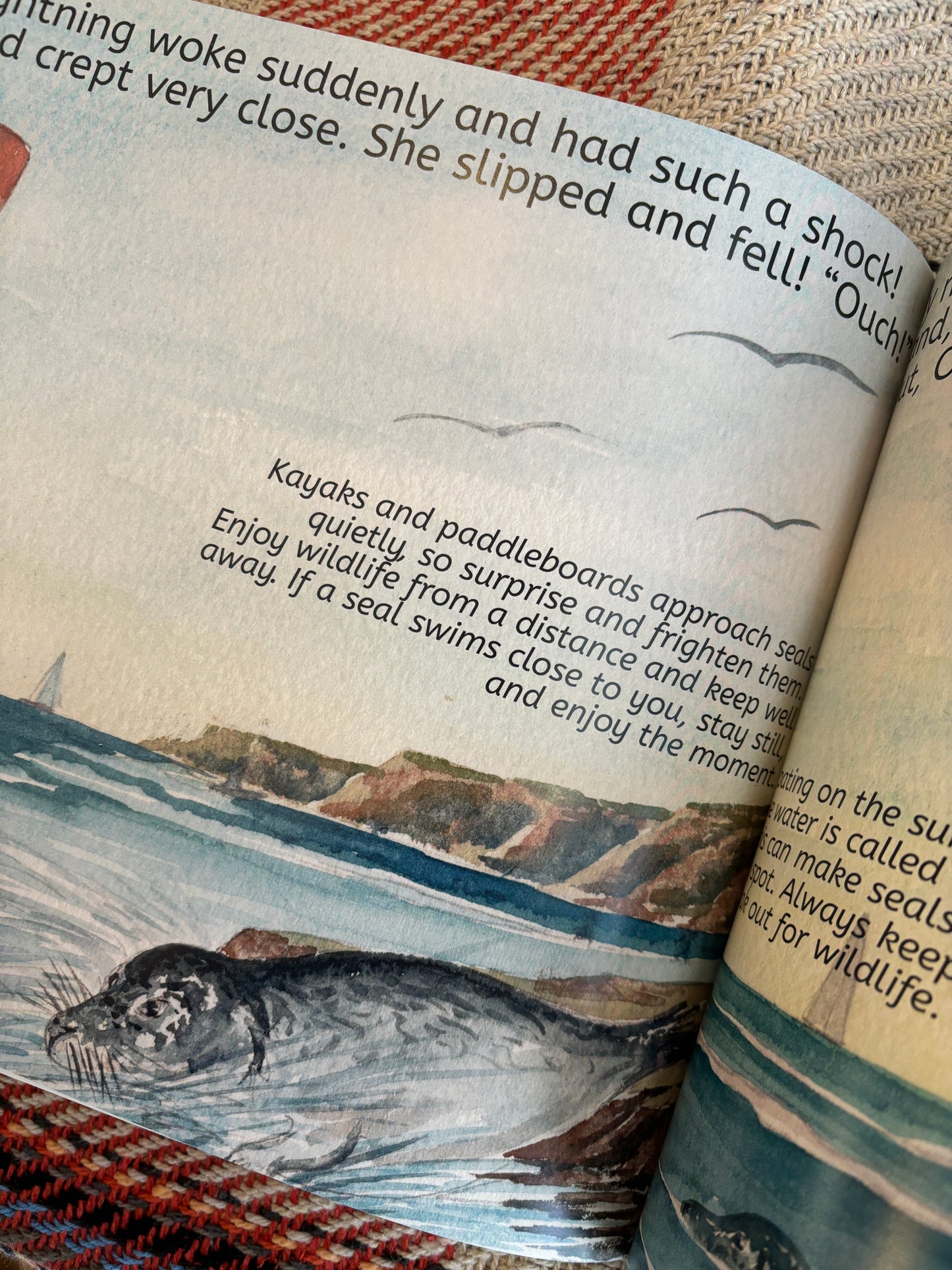 Excuse Me...Are You My Mum? An illustrated children's book about seals on the Cornish coast