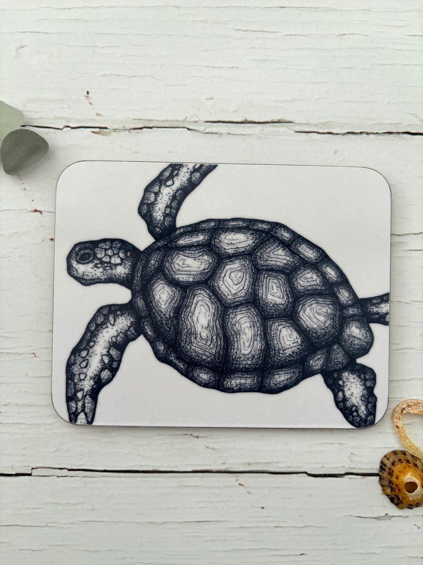 Cornish Sealife Coasters