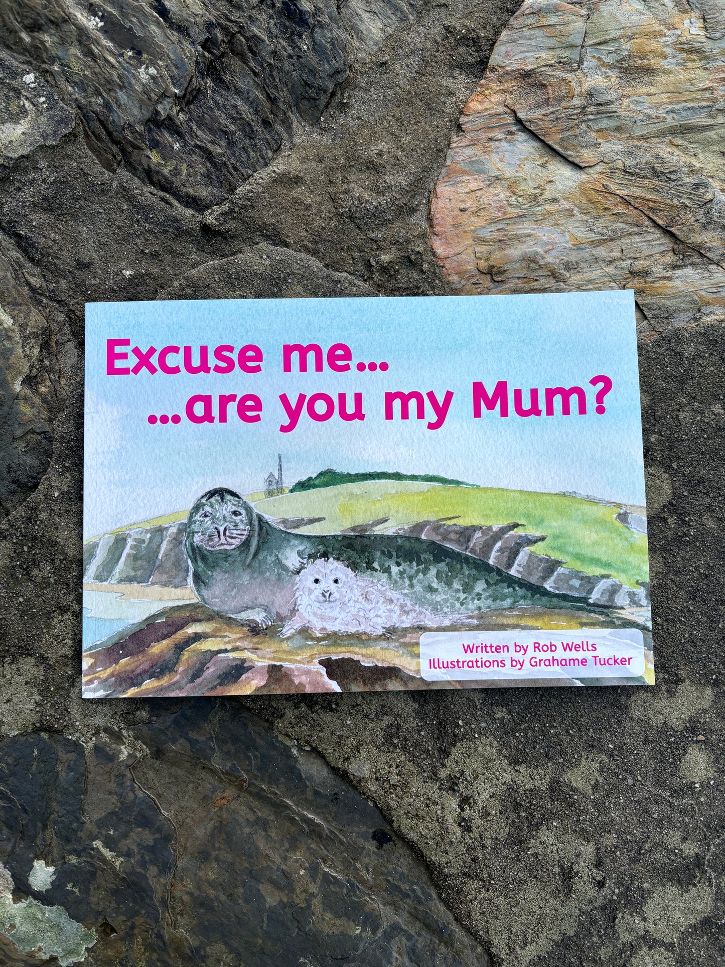 Excuse Me...Are You My Mum? An illustrated children's book about seals on the Cornish coast