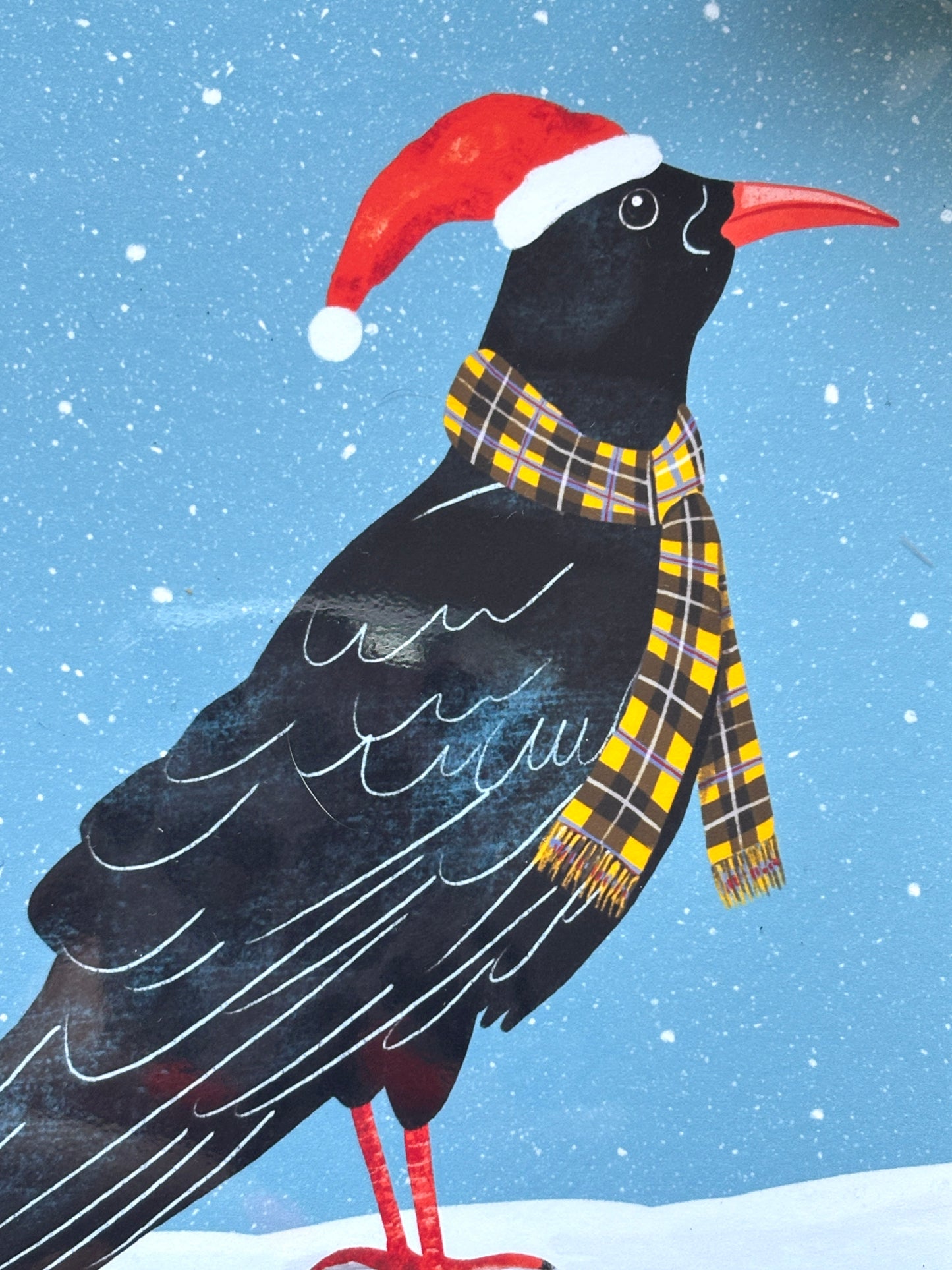 Choughin'ell it's Christmas! Cornish Christmas Card
