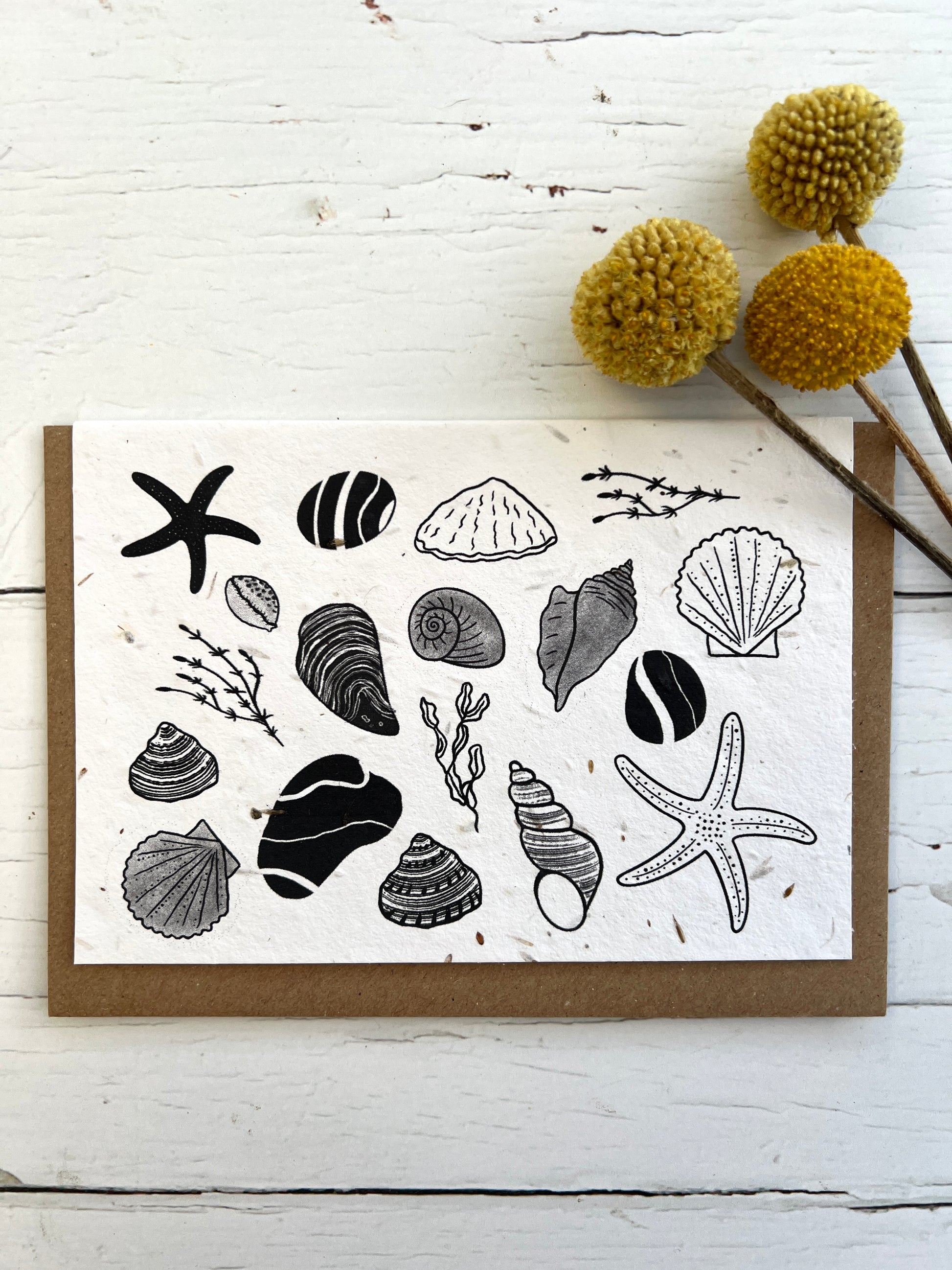 A natural coloured greetings embedded with meadow seeds, the card is illustrated with a variety of seashells, pebbles and seaweed