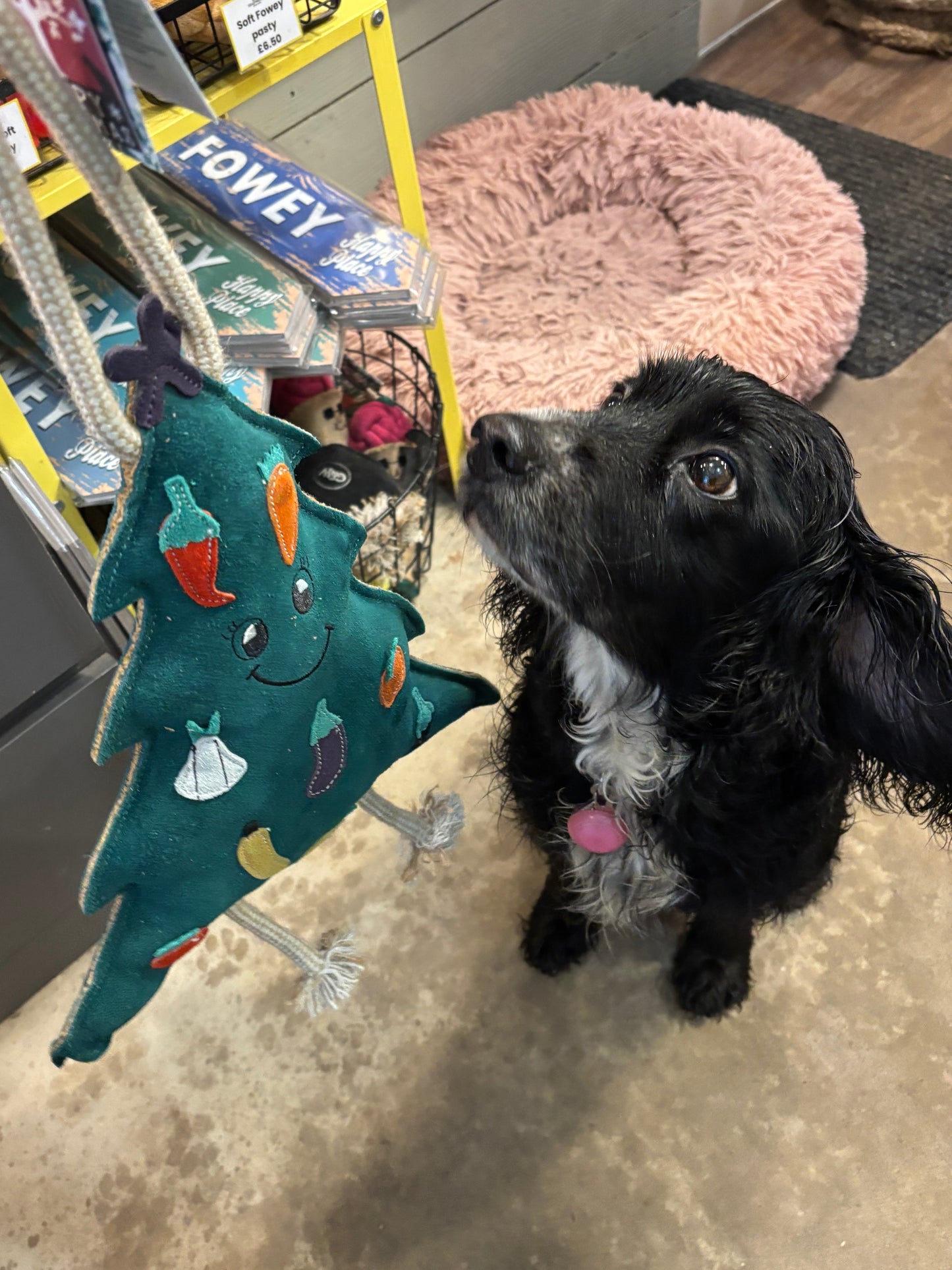 Carol the Christmas Tree Extra Large Eco Friendly Dog Toy