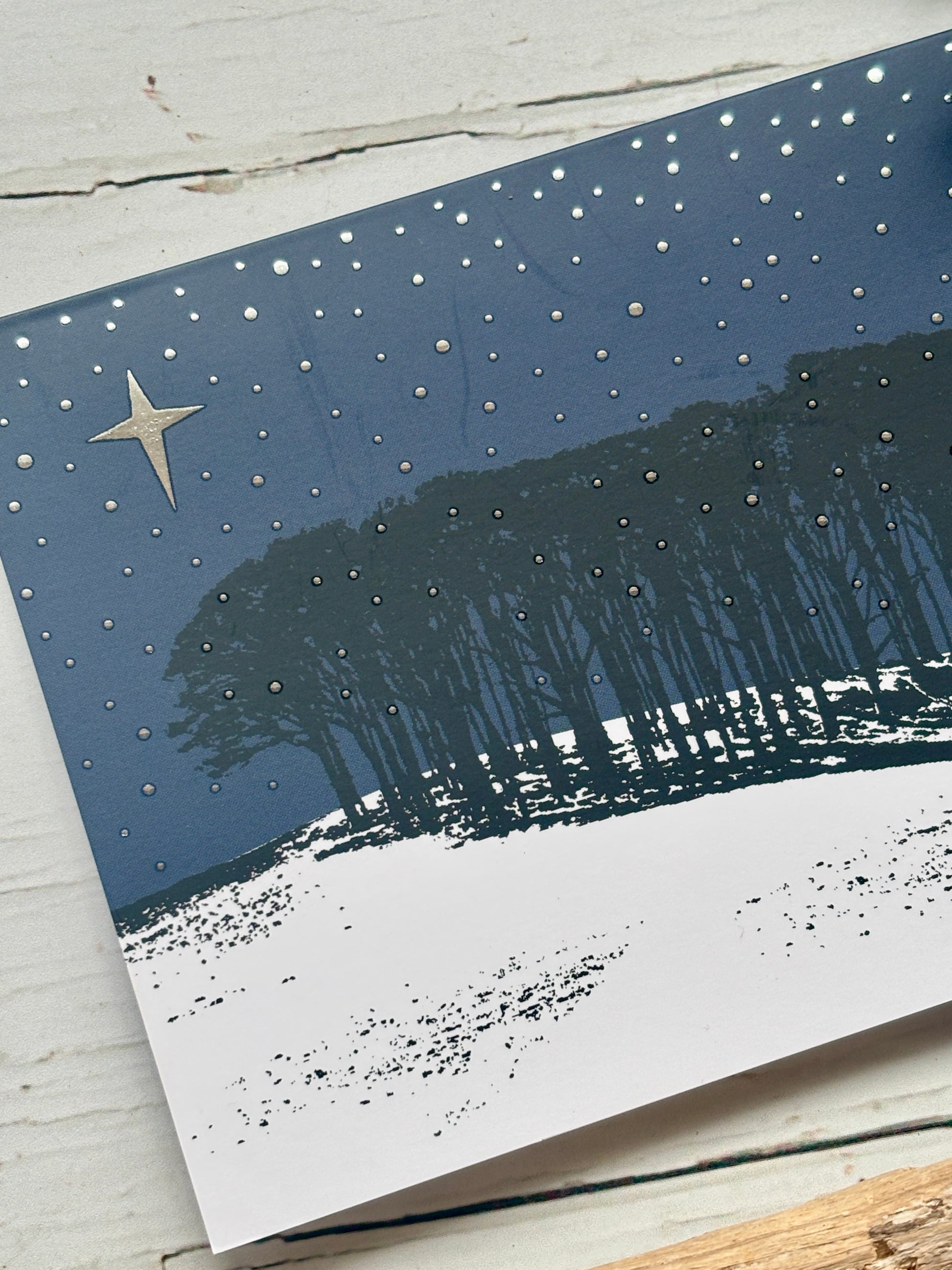 a christmas card depicting the nearly home trees against a blue sky and snowy ground