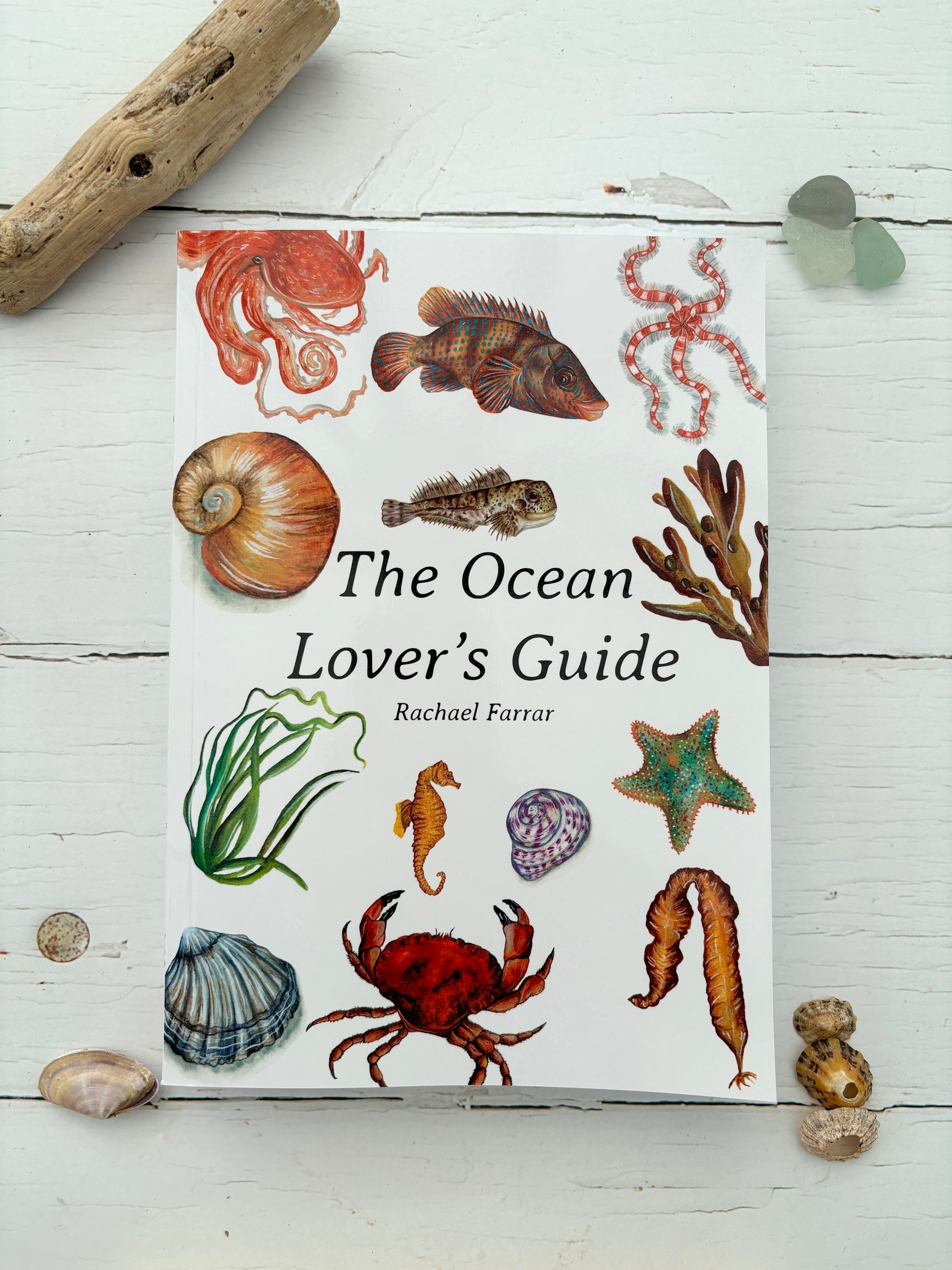 The Oceans Lovers Guide book