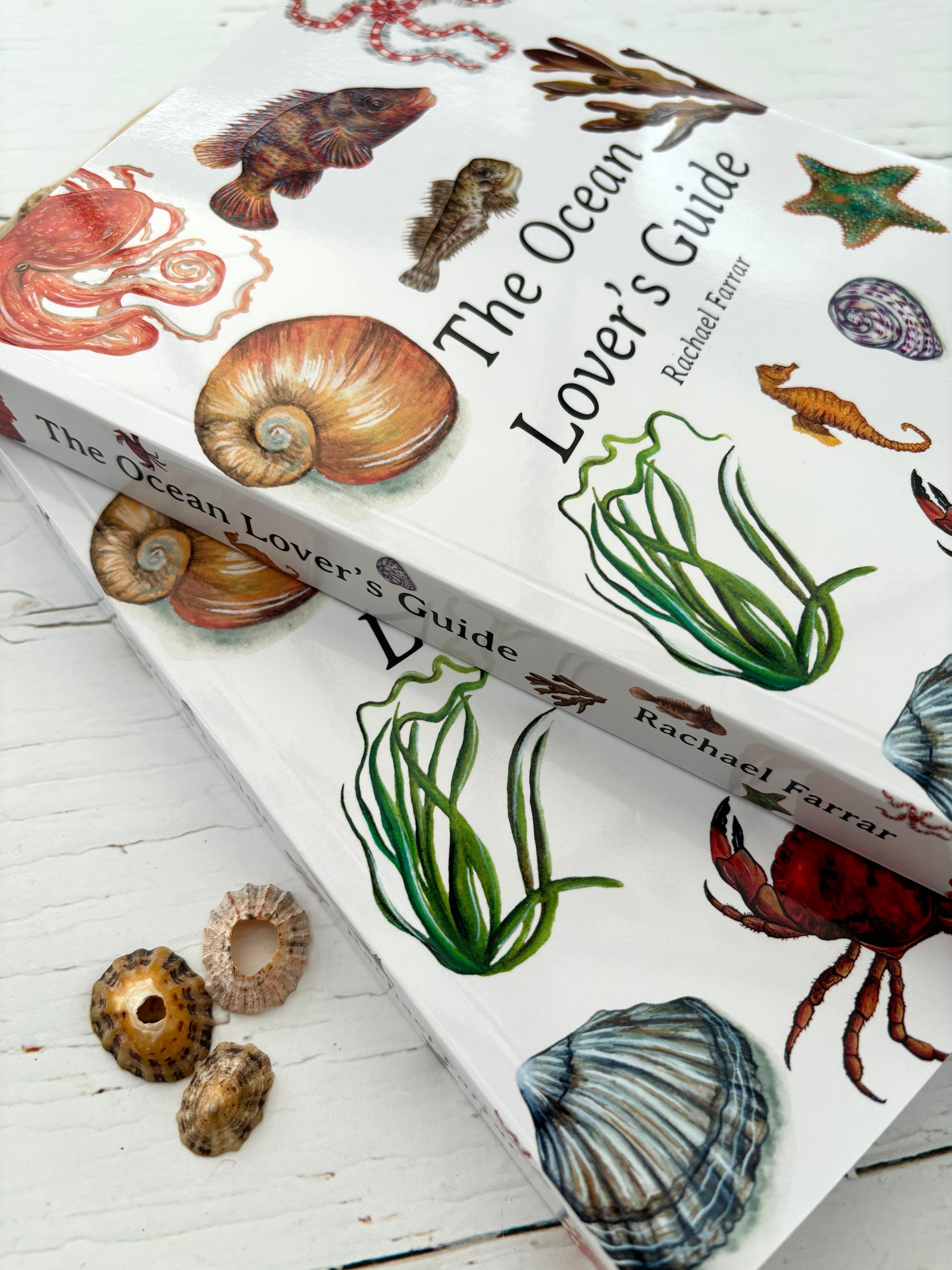 The Oceans Lovers Guide book