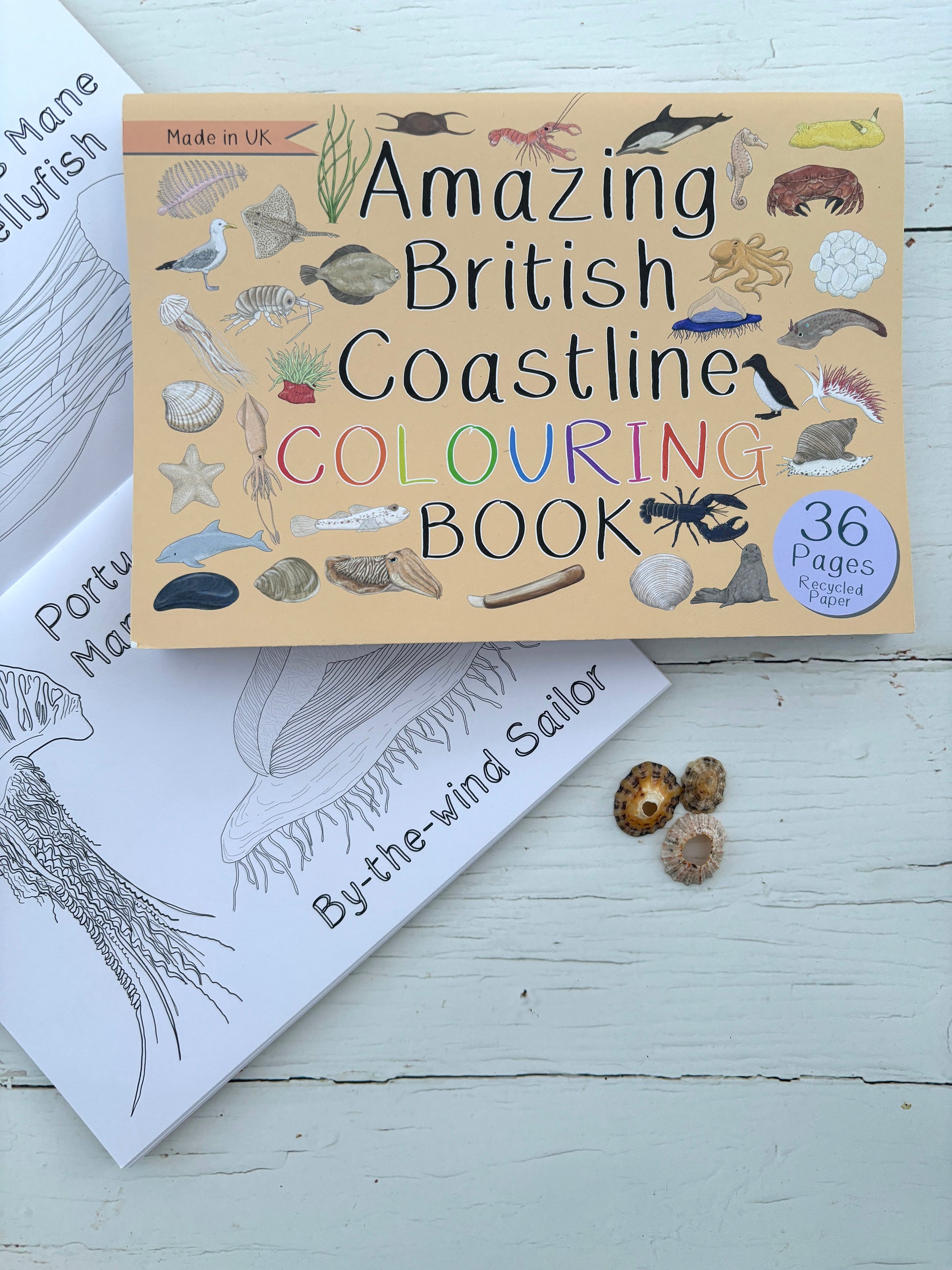 British coastal coloring book with sample pages, marine wildlife illustrations, jellyfish shells, educational activity