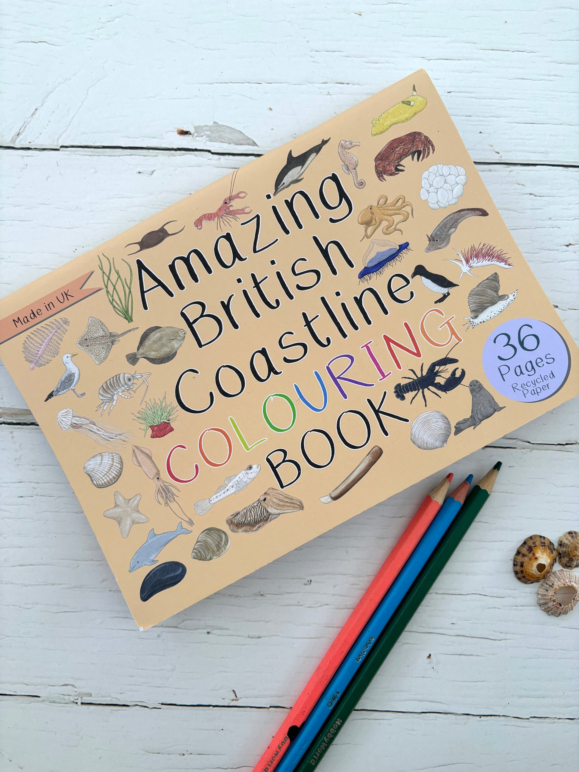 amazing british coastline colouring book, 36 pages recycled paper, marine life illustrations, UK made activity book