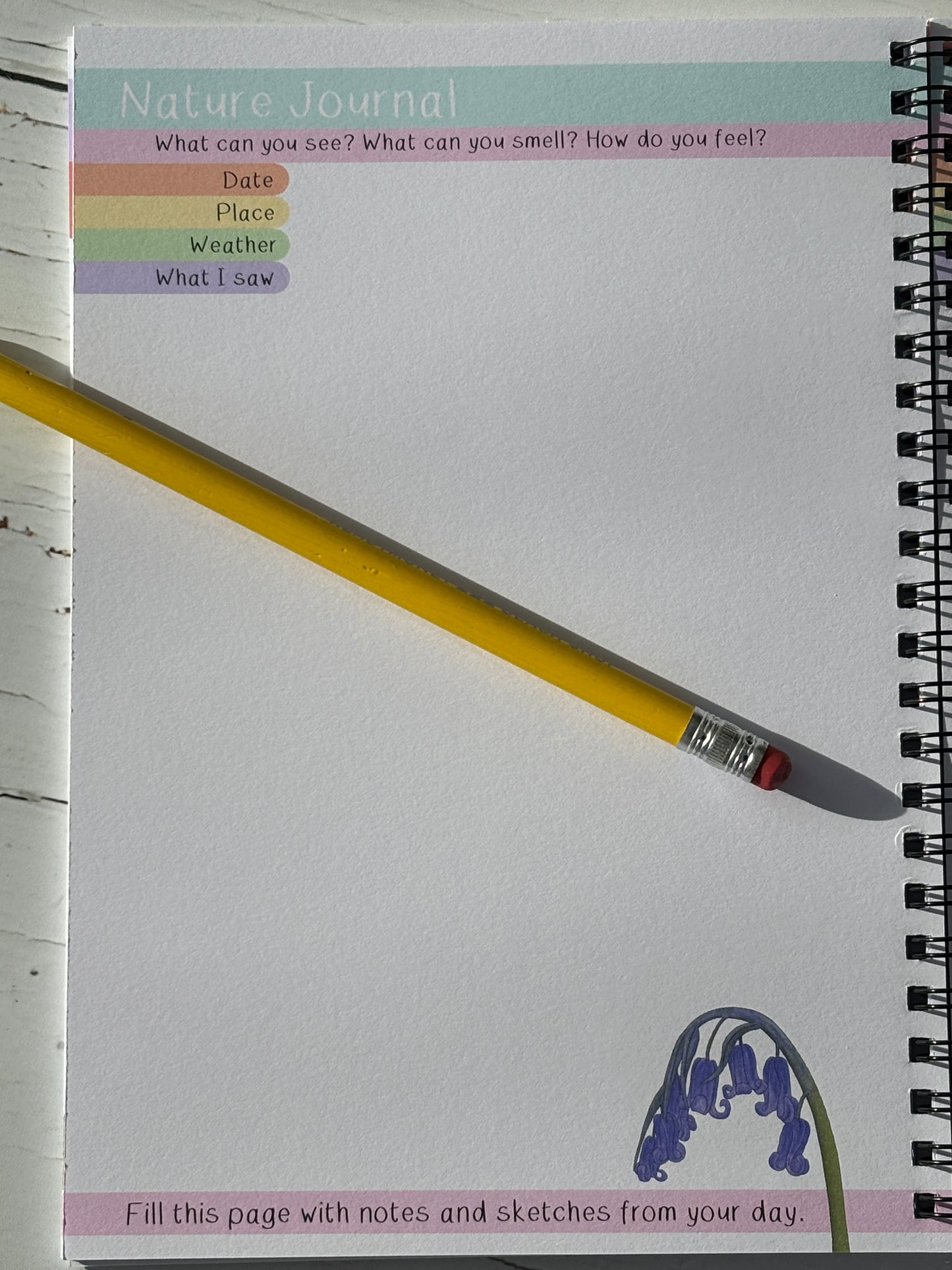 wildlife journal spread with colorful header prompts for recording nature observations: date, location, weather, sights