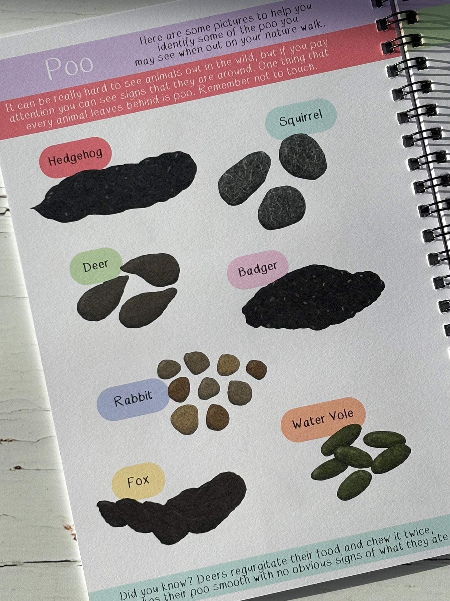 animal droppings identification page showing poo from hedgehog, deer, badger, fox, rabbit, squirrel, water vole