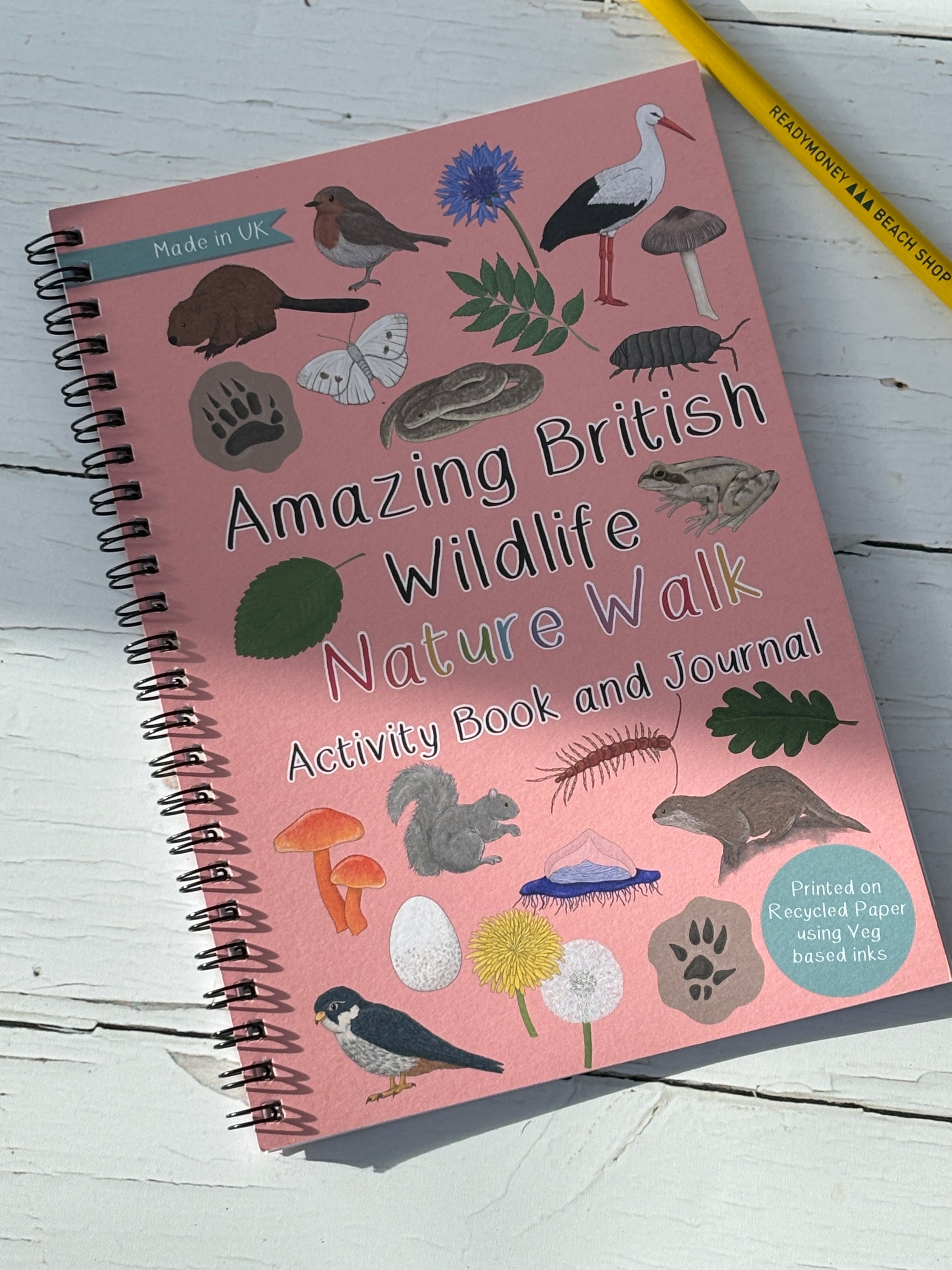 Amazing British Wildlife Nature Walk activity book and journal, spiral bound, recycled paper, illustrated cover