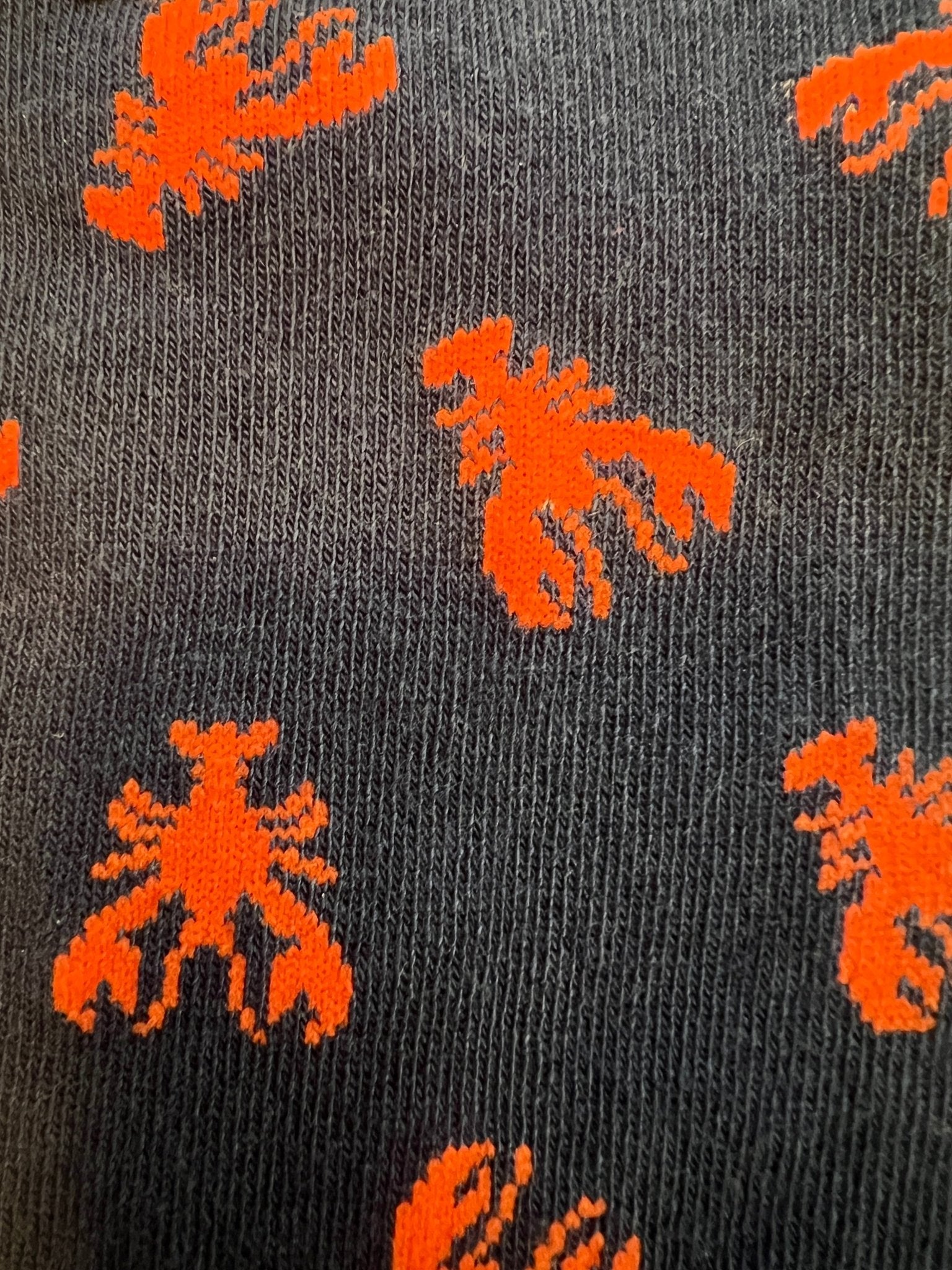 Bamboo Funky Socks: Larry the lobster (navy & orange) - Readymoney Beach Shop