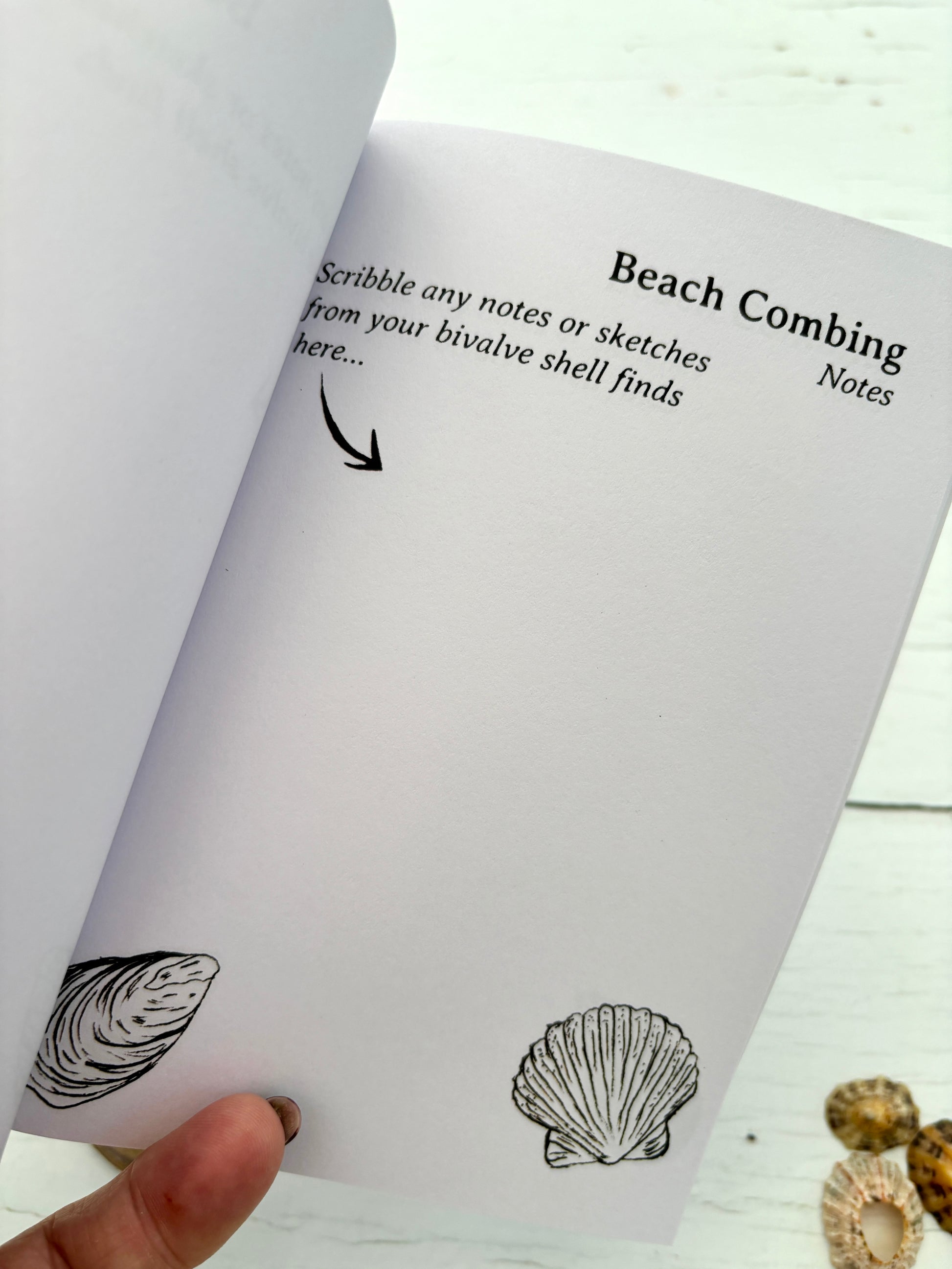 Beachcombing journal page for bivalve shell sketches—ideal for coastal explorers and nature note-takers