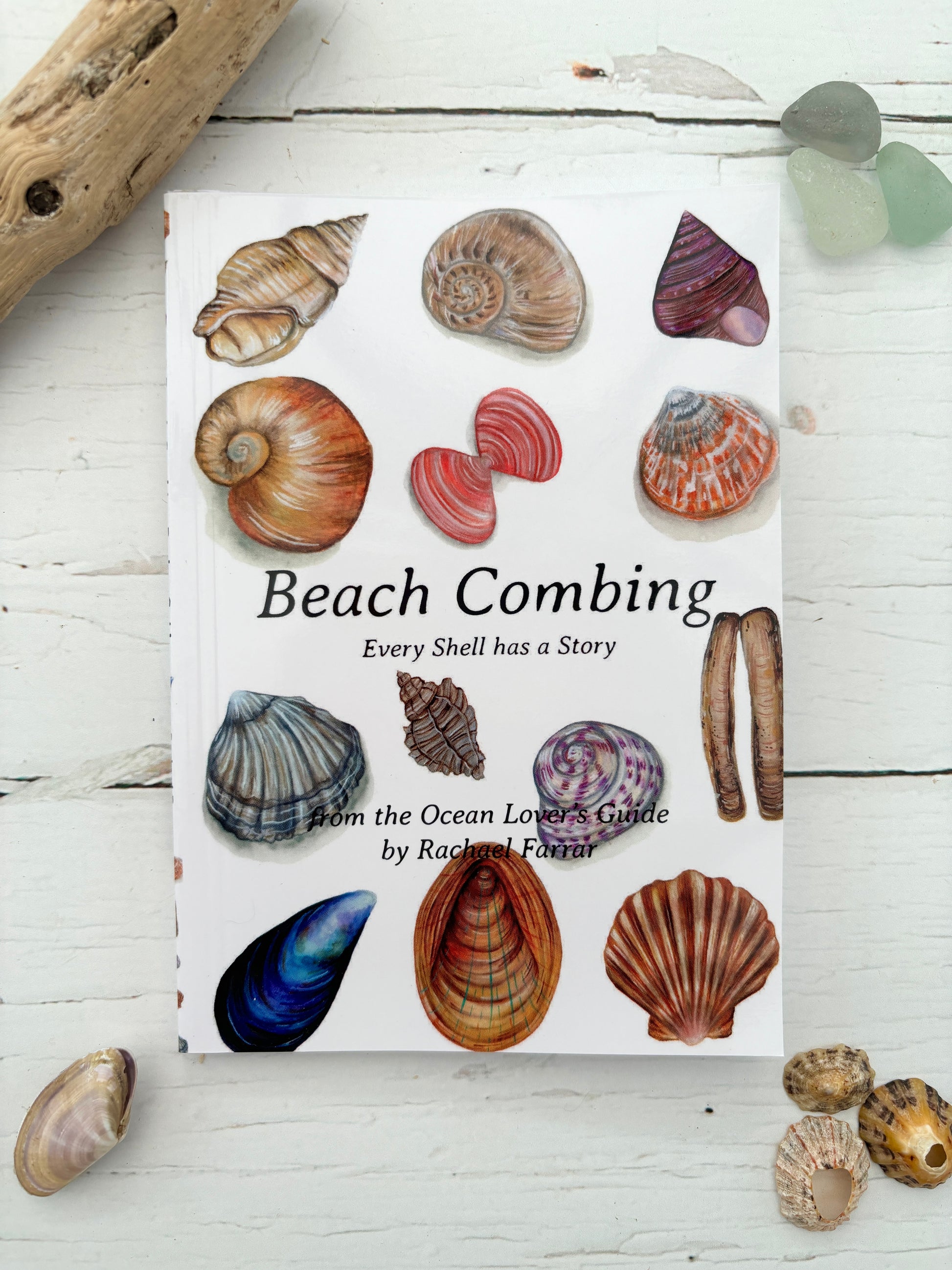 Beach Combing pocket guide by Rachael Farrar, seashell identification book, ocean lover's guide, illustrated shellsRetryH