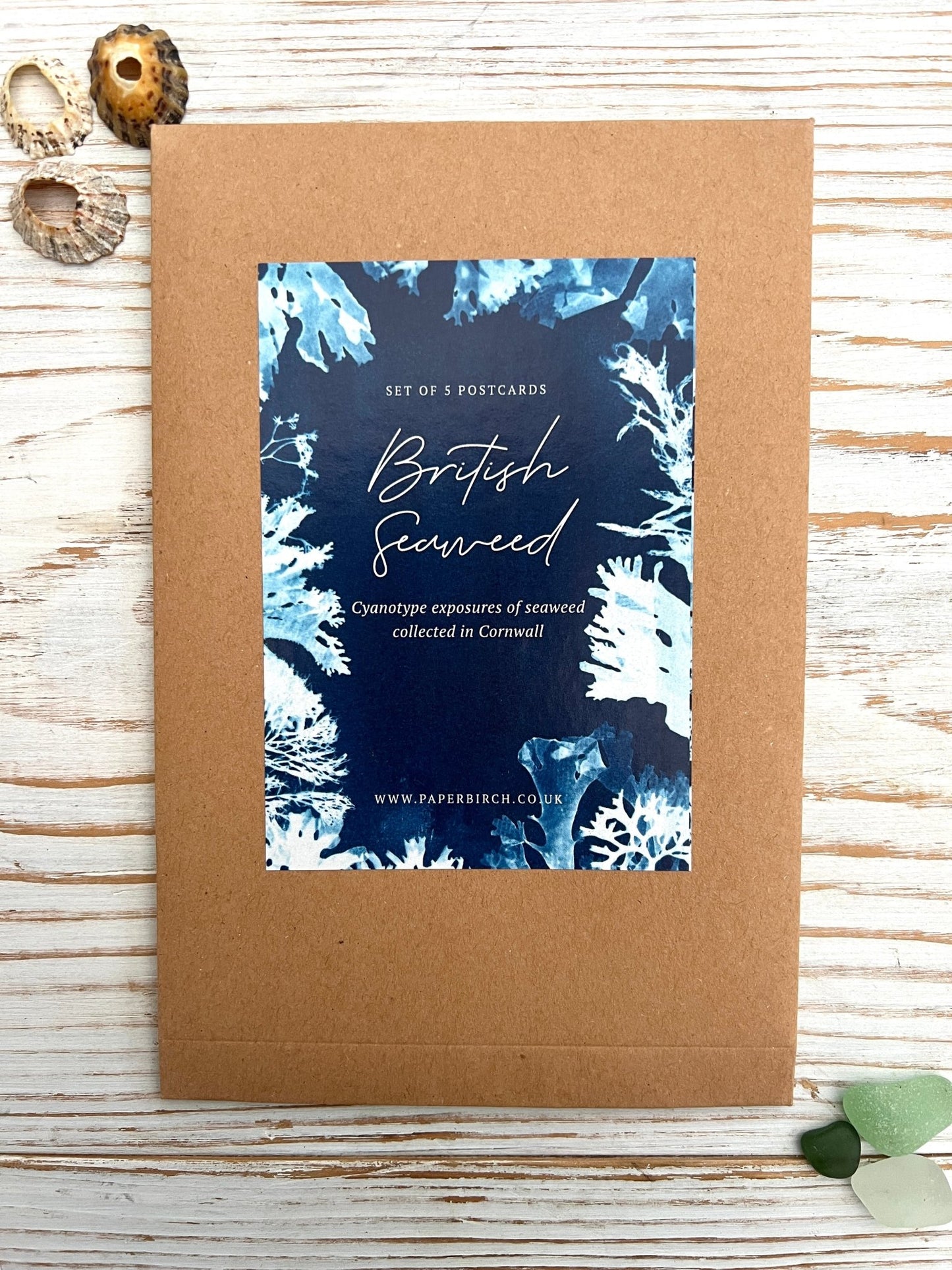 Blue Seaweed Cyanotype Postcard Gift Set - Readymoney Beach Shop