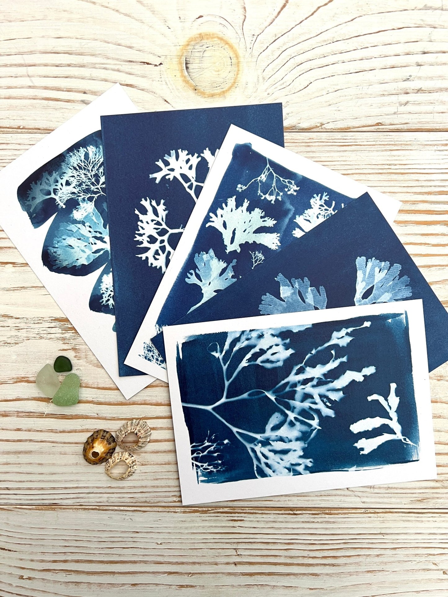 Blue Seaweed Cyanotype Postcard Gift Set - Readymoney Beach Shop