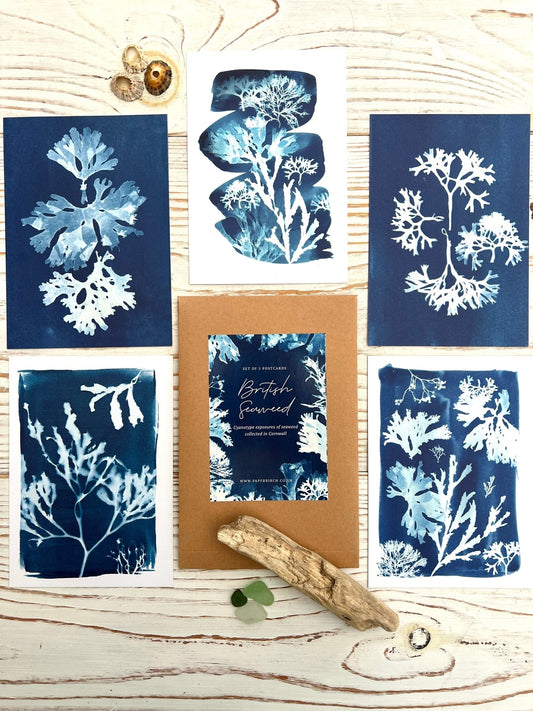 Blue Seaweed Cyanotype Postcard Gift Set - Readymoney Beach Shop