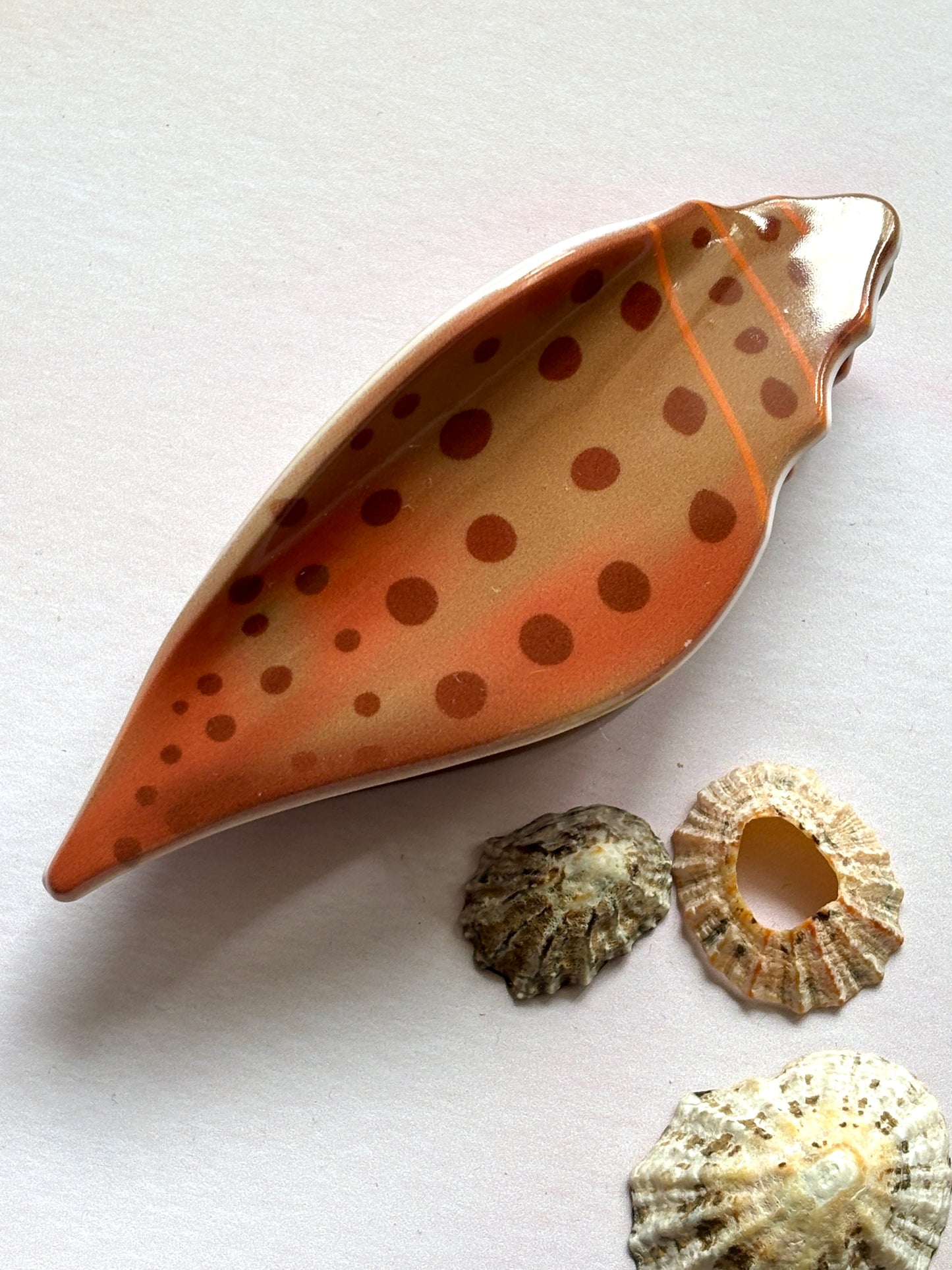 Brown Shell Hair Claw