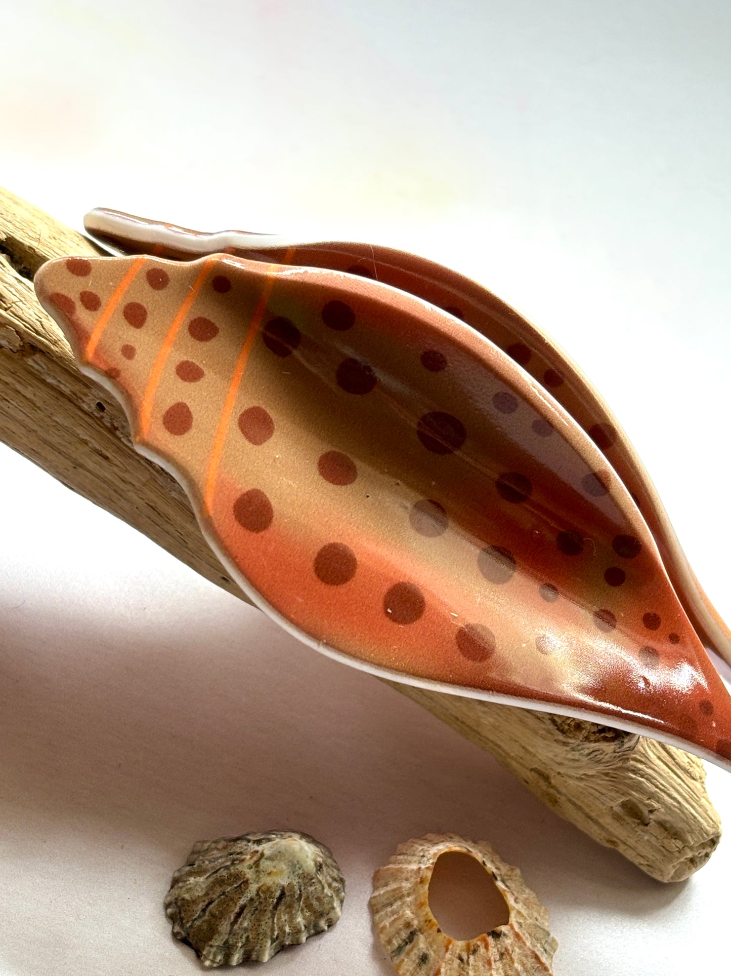 Brown Shell Hair Claw
