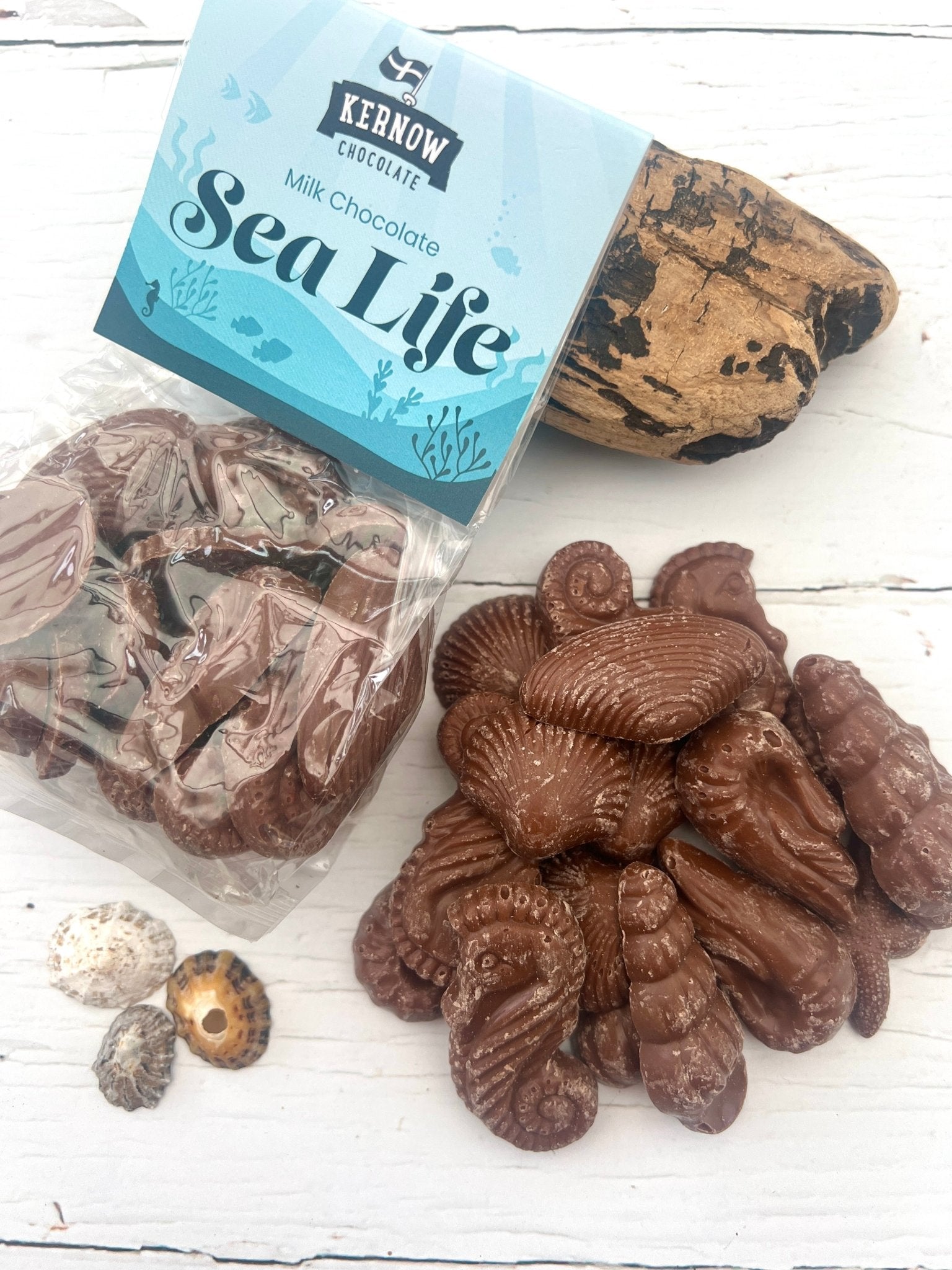 Kernow milk chocolate sea life shapes Cornish chocolate seaside souvenir edible seashells and starfish sweet treat gift