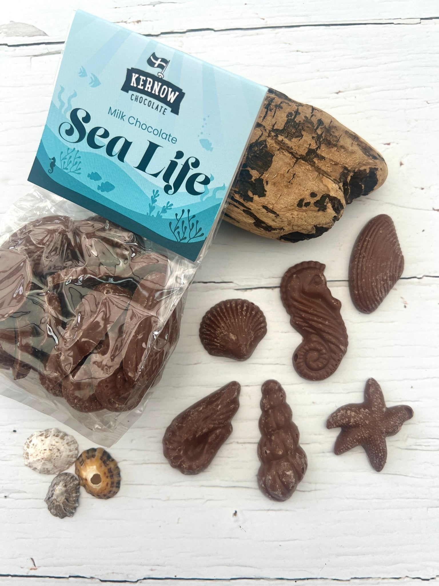 closeup shot of Kernow sea life chocolate milk chocolate seahorse, seashell, starfish shapes Cornish confectionery novelty gift