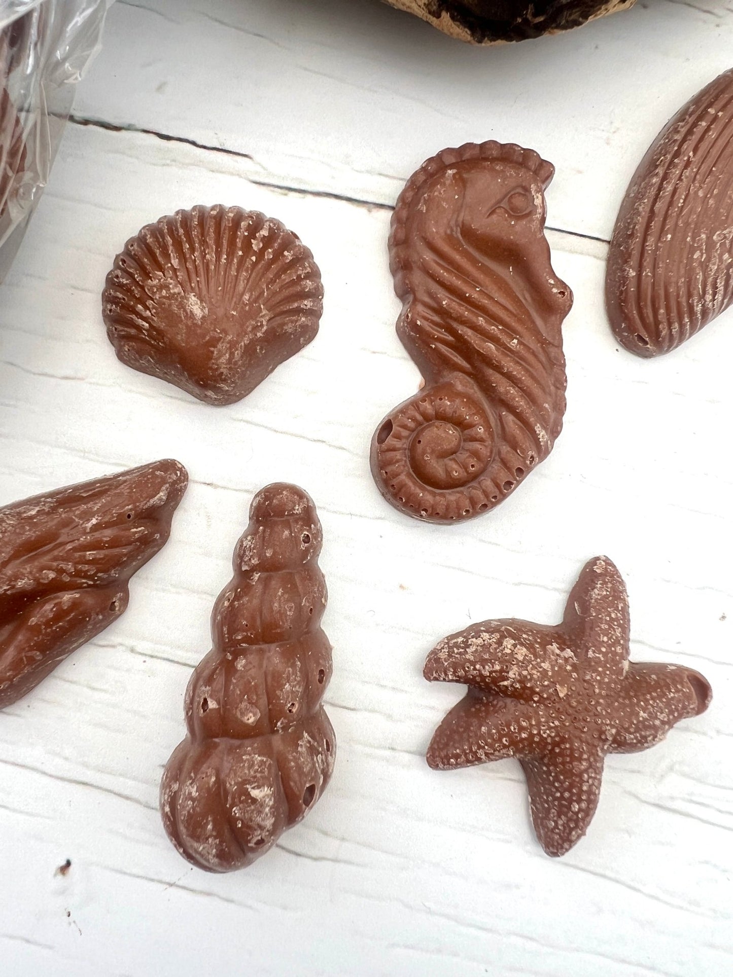Kernow milk chocolate sea life shapes textured seahorse, seashells, starfish Cornish novelty sweet treat