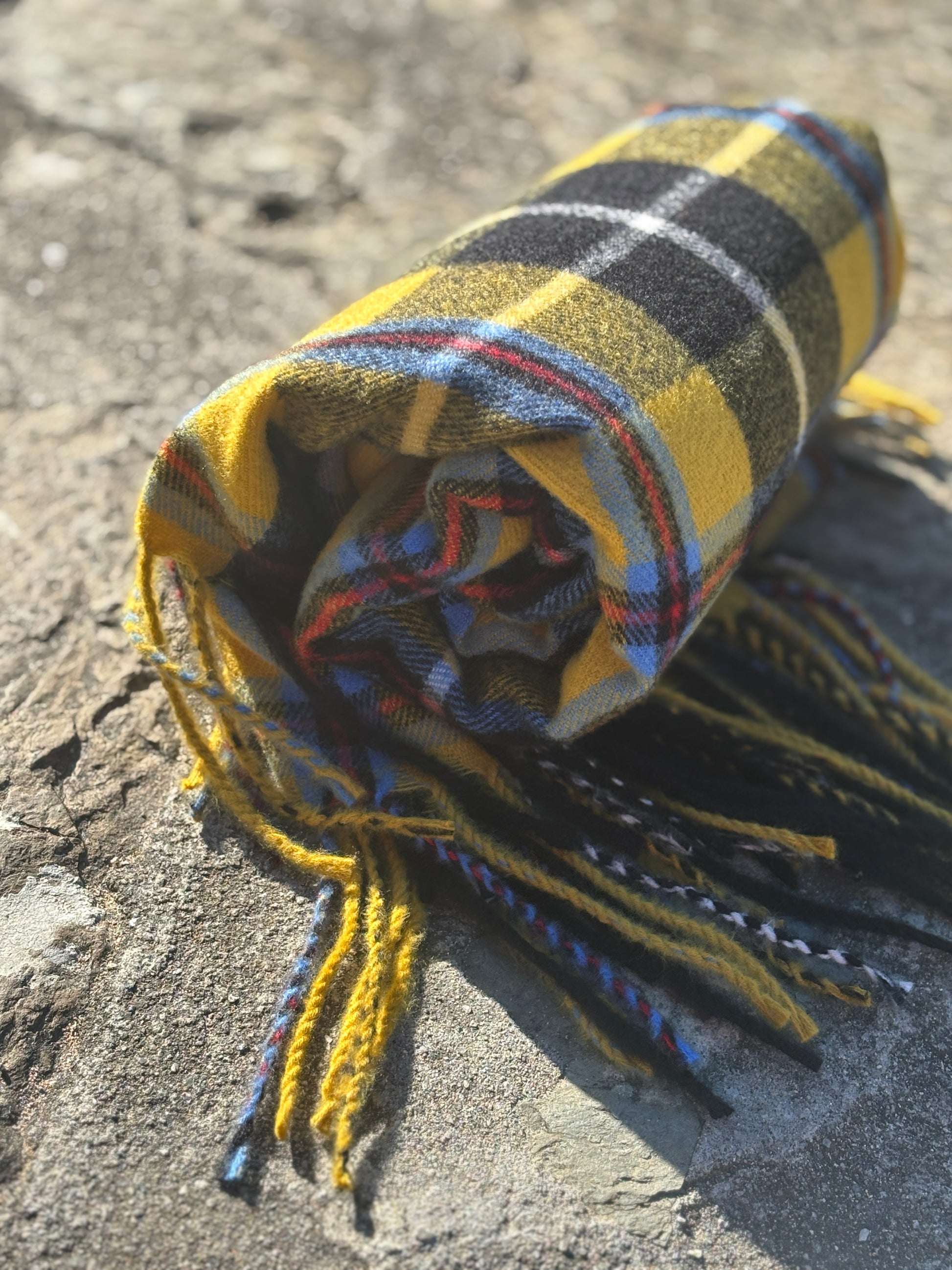 Cornish tartan scarf rolled in bold yellow plaid—heritage wool wrap with fringe, perfect for cozy coastal style and gifting