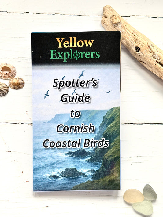Spotter's Guide to Cornish Coastal Birds