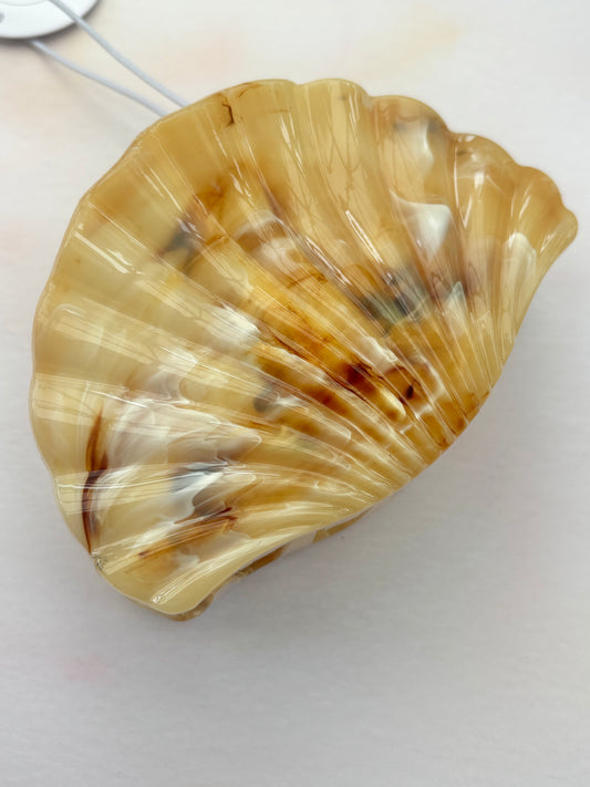 Cream & Brown Scallop Shell Hair Claw