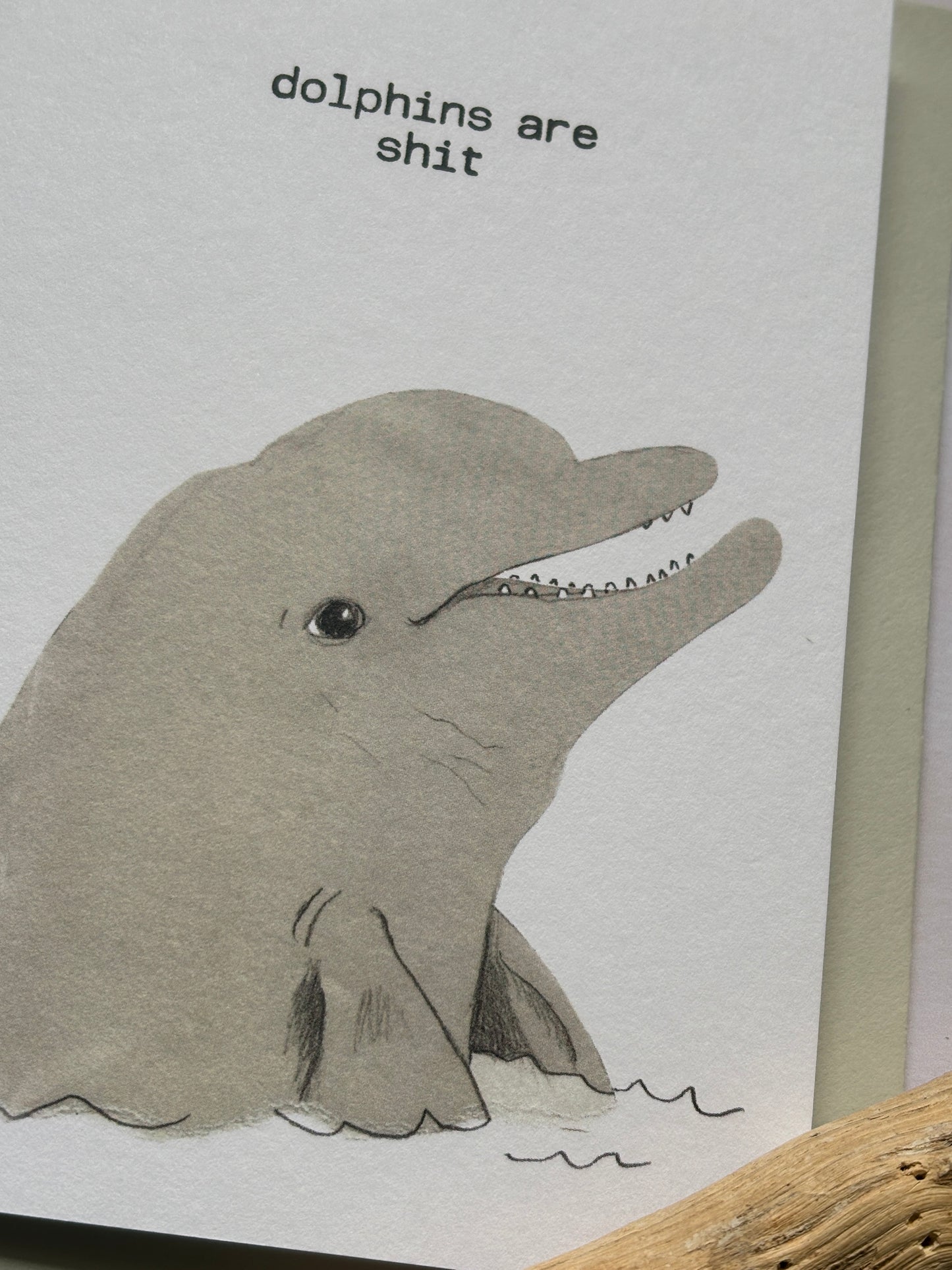 Dolphins Are Sh*T - Sweary Greetings Cards