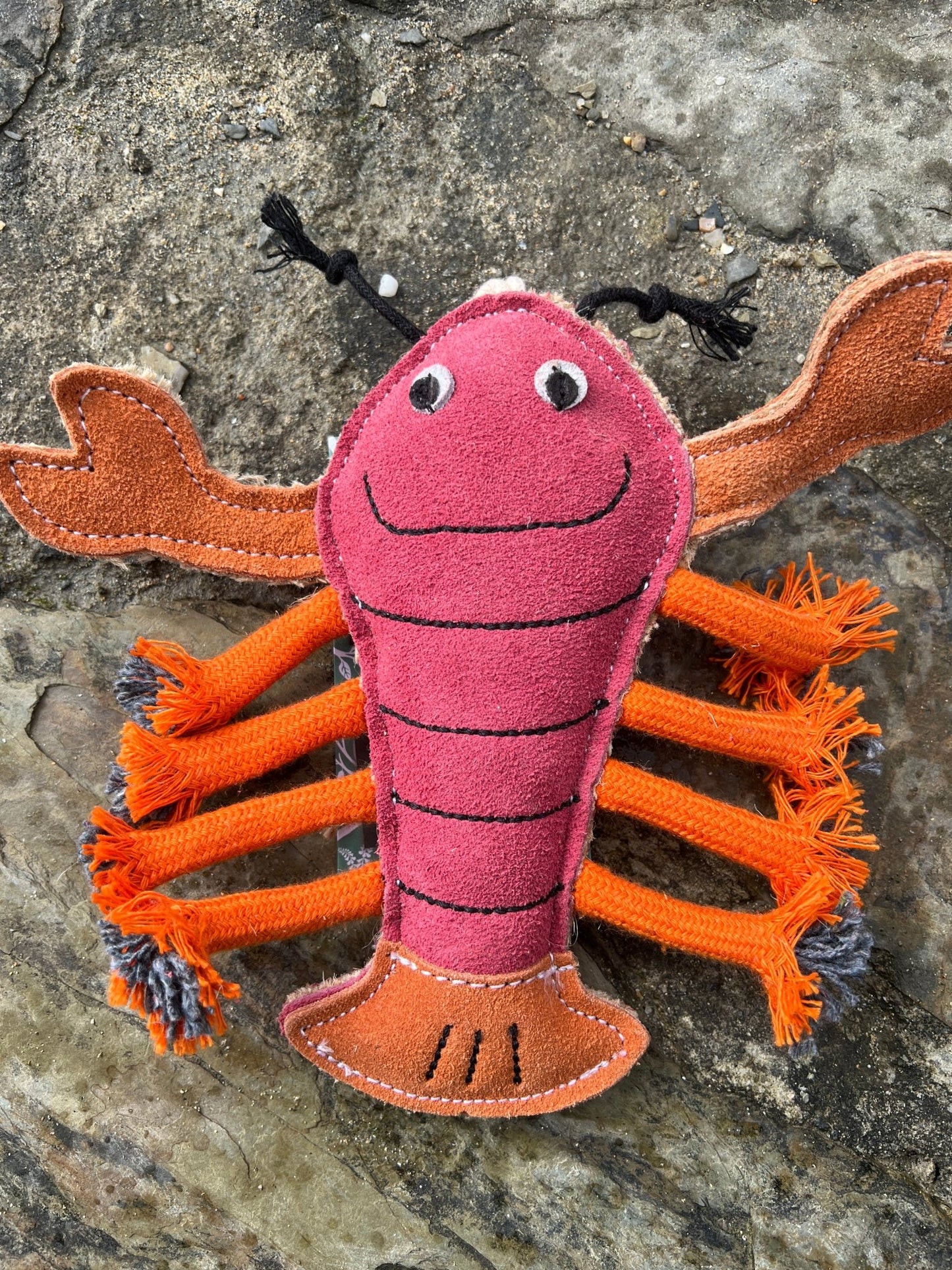 red felt lobster eco dog toy with rope claws - handmade sustainable ocean-themed pet toy with cute face