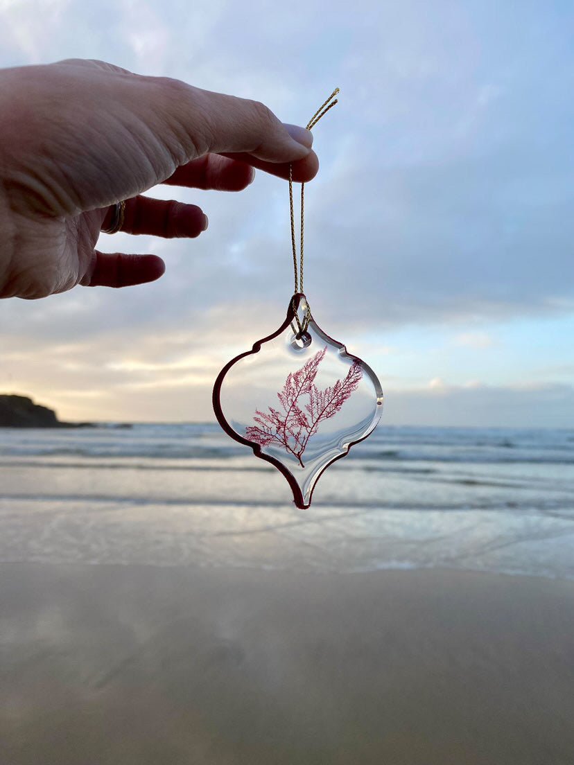 eco-resin seaweed bauble held by the sea, featuring real pressed seaweed, luxury handmade coastal Christmas decoration