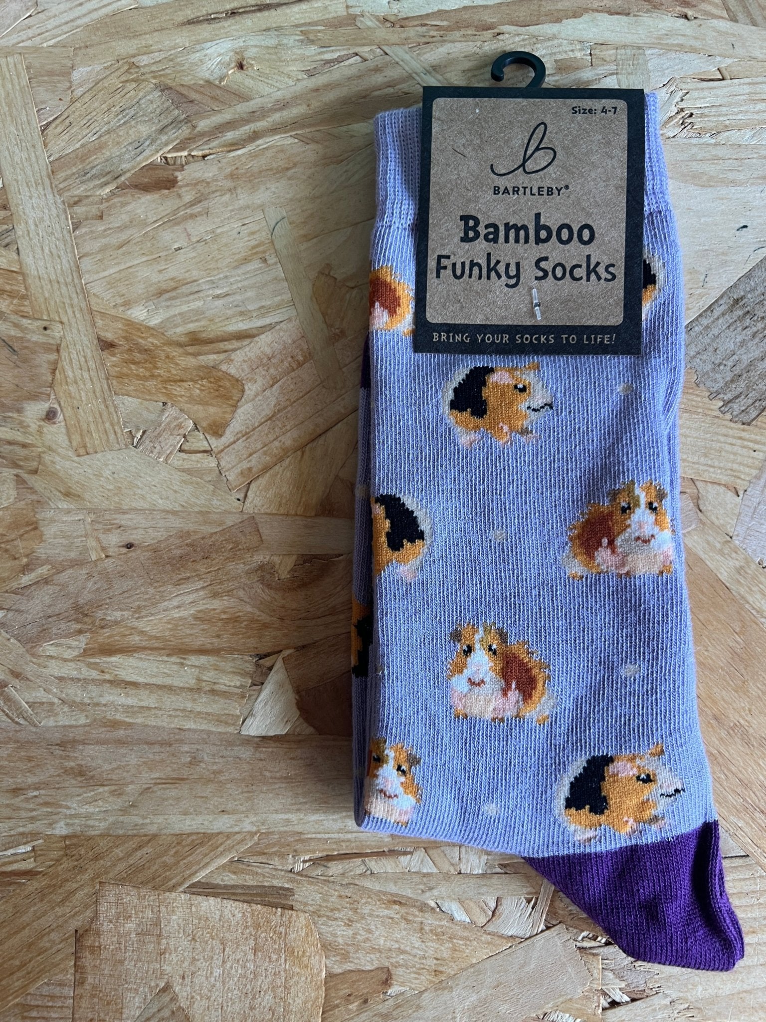 Guinea pig socks! - Readymoney Beach Shop