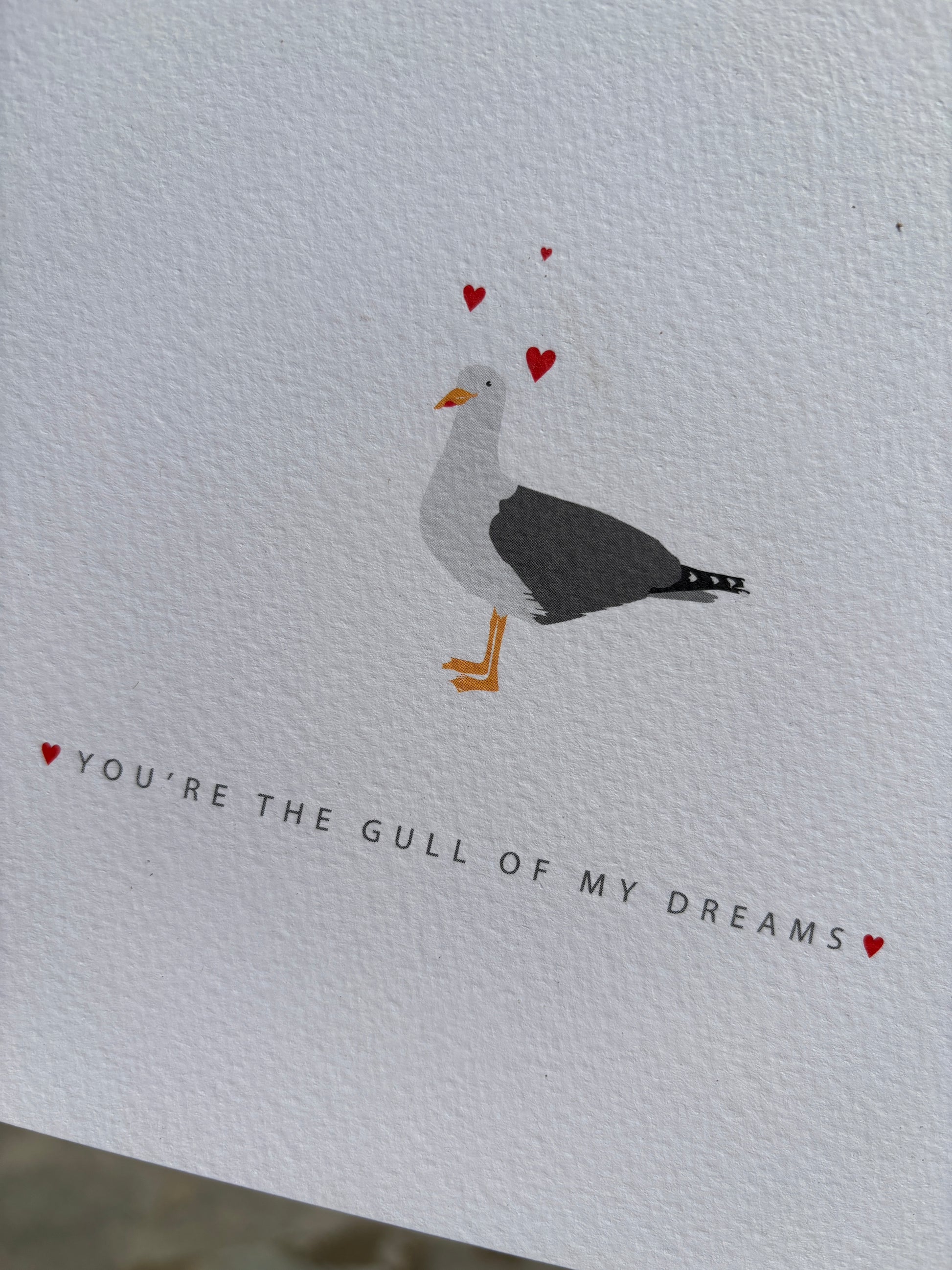 closeup shot of a detailed seagull and floating hearts minimalist romantic card with a funny pun: "Gull Of My Dreams." cute nautical pun stationery