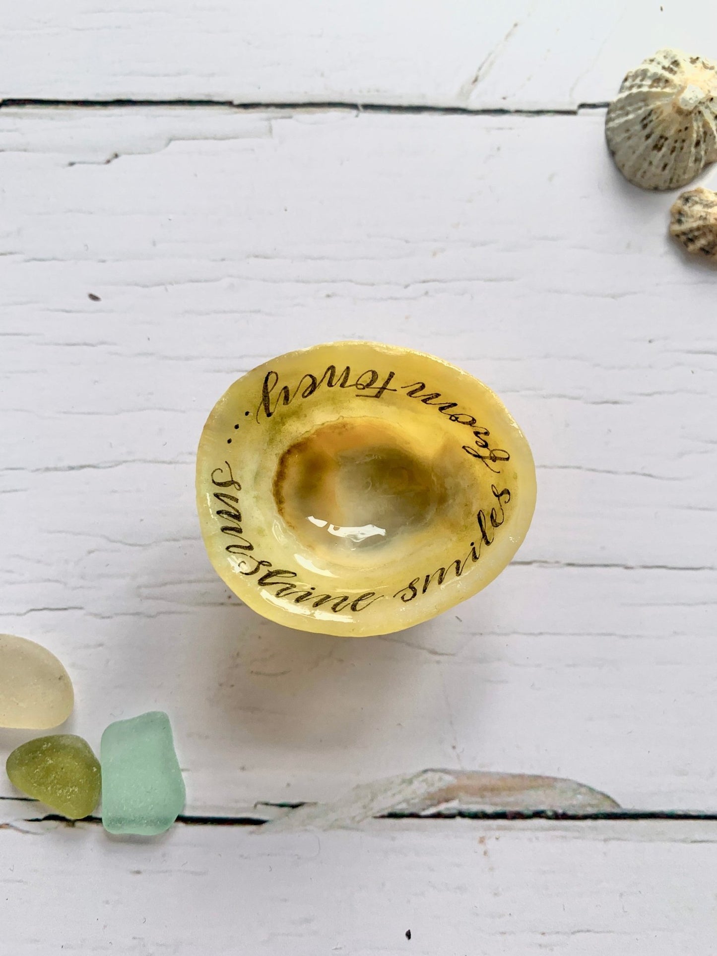 Hand lettered calligraphy Cornish limpet shells - Readymoney Beach Shop