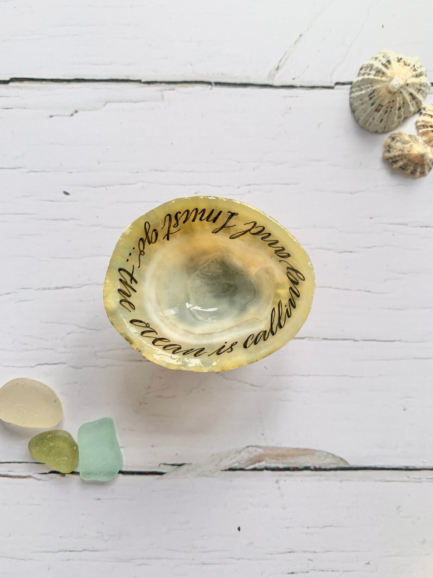 Hand lettered calligraphy Cornish limpet shells - Readymoney Beach Shop